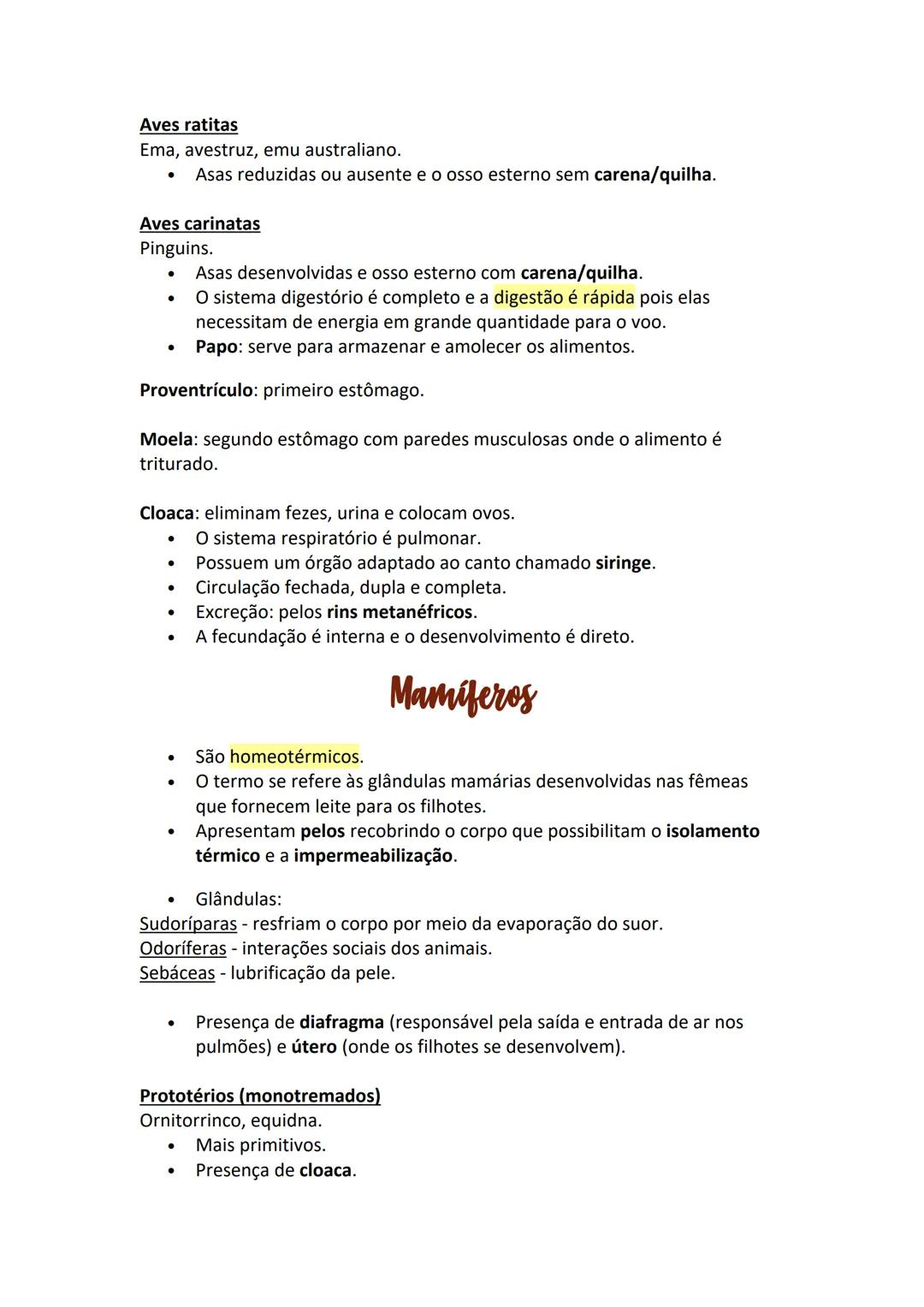 # Peixes
- Presença de nadadeiras e escamas, forma do corpo e viscosidade na
pele os ajudam a se movimentar na água.
- São pecilotérmicos.