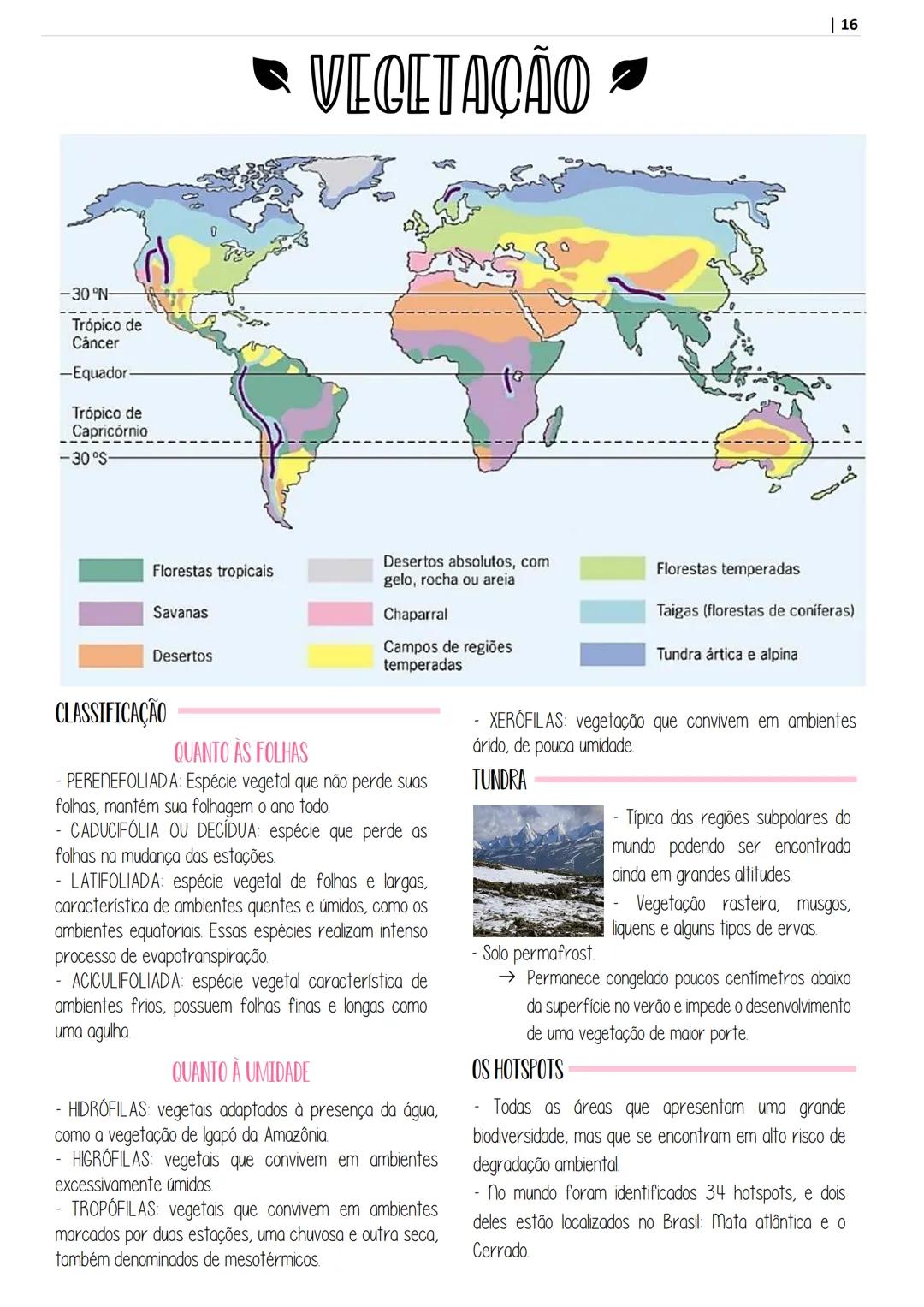 # APOSITILA DE
geografía
POR @ESTUDOPREP
ARTE POR @STUDIES.T - INTRODUÇÃO À GEOGRAFIA
- CARTOGRAFIA
RELEVO
RELEVO BRASILEIRO
ROCHAS
- SOL