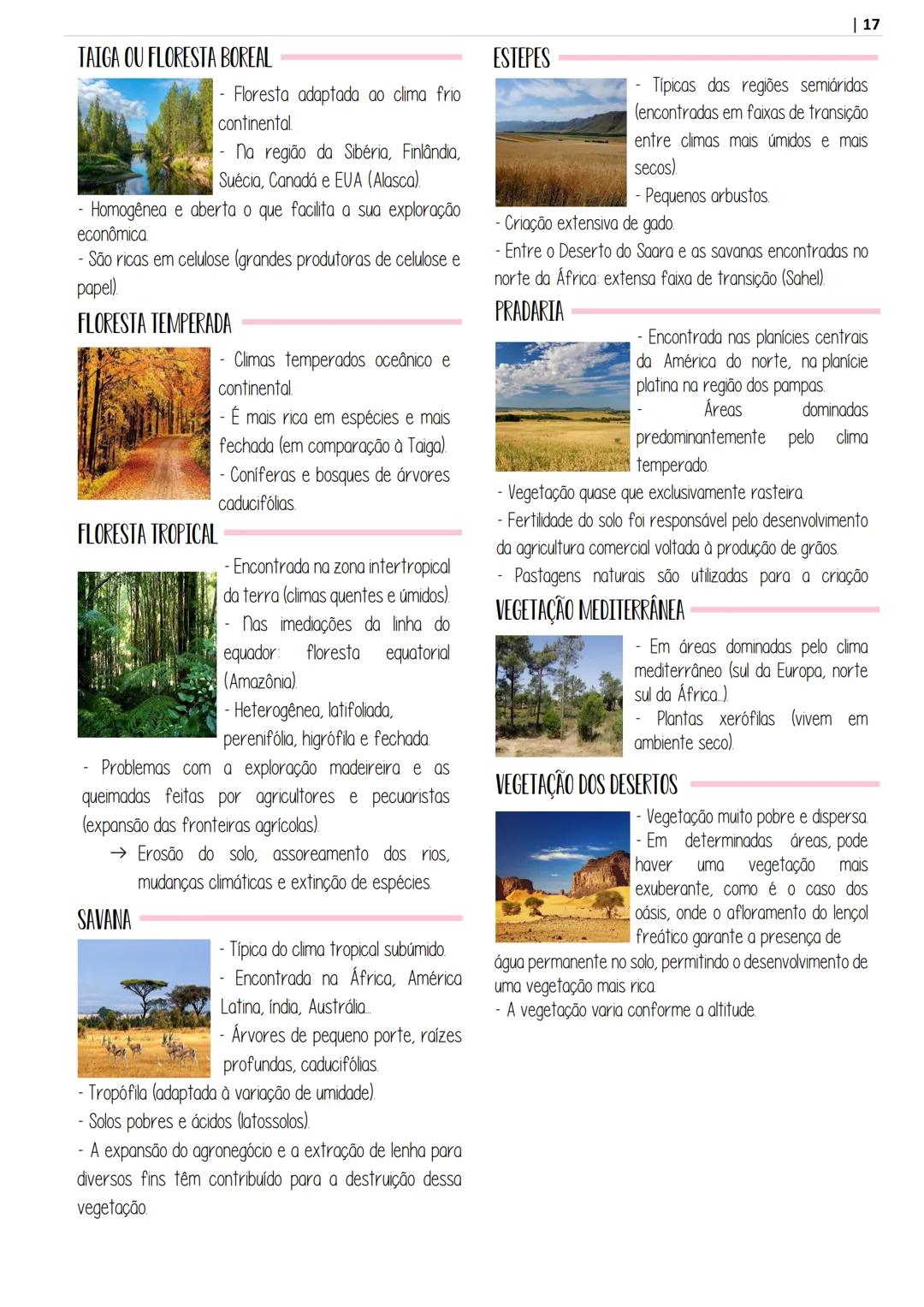 # APOSITILA DE
geografía
POR @ESTUDOPREP
ARTE POR @STUDIES.T - INTRODUÇÃO À GEOGRAFIA
- CARTOGRAFIA
RELEVO
RELEVO BRASILEIRO
ROCHAS
- SOL