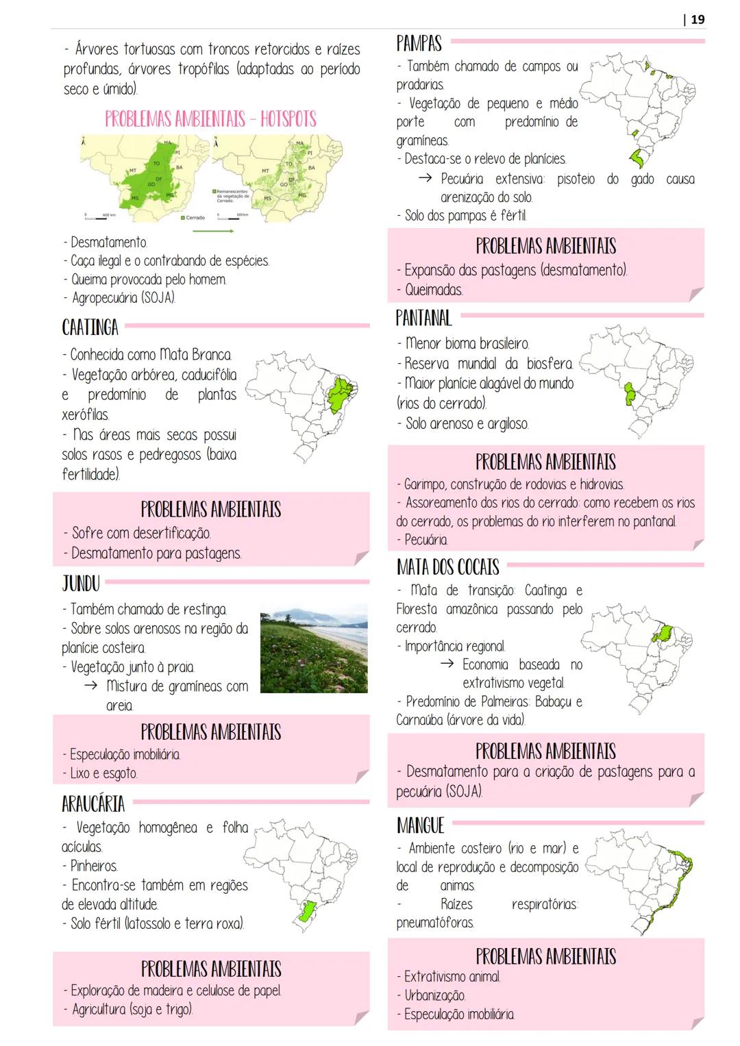 # APOSITILA DE
geografía
POR @ESTUDOPREP
ARTE POR @STUDIES.T - INTRODUÇÃO À GEOGRAFIA
- CARTOGRAFIA
RELEVO
RELEVO BRASILEIRO
ROCHAS
- SOL