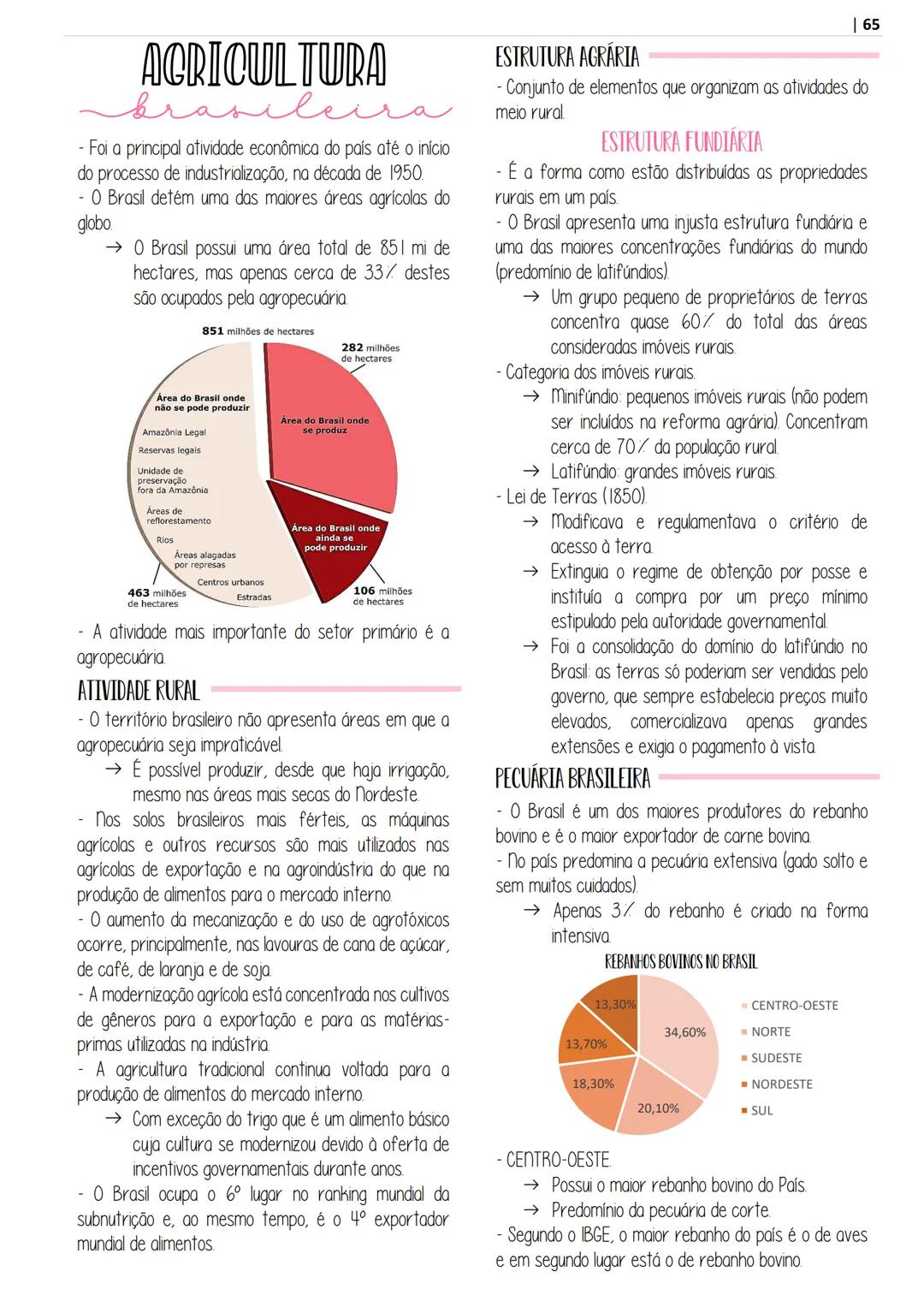 # APOSITILA DE
geografía
POR @ESTUDOPREP
ARTE POR @STUDIES.T - INTRODUÇÃO À GEOGRAFIA
- CARTOGRAFIA
RELEVO
RELEVO BRASILEIRO
ROCHAS
- SOL