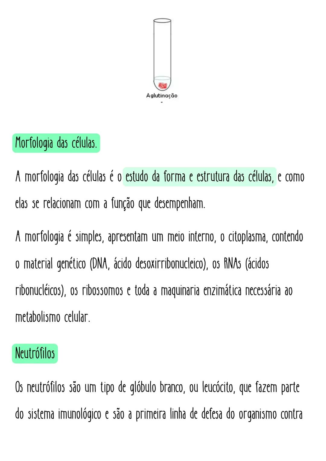 Eleticiana Lima
# Hematológica.
# Tipagem sanguínea
Sistema ABO: Define os tipos sanguíneos em A, B, АВ е О.
fator Rh: Define se o sangue