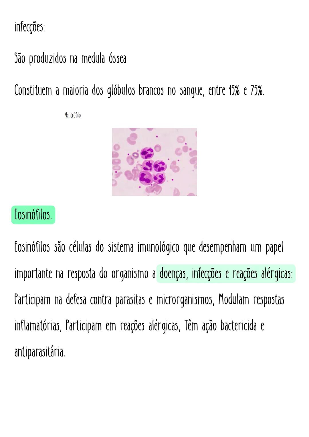 Eleticiana Lima
# Hematológica.
# Tipagem sanguínea
Sistema ABO: Define os tipos sanguíneos em A, B, АВ е О.
fator Rh: Define se o sangue