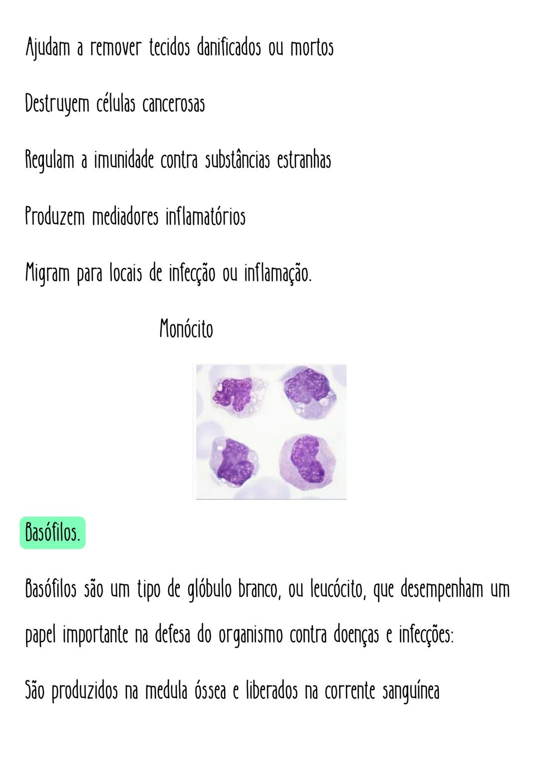Eleticiana Lima
# Hematológica.
# Tipagem sanguínea
Sistema ABO: Define os tipos sanguíneos em A, B, АВ е О.
fator Rh: Define se o sangue