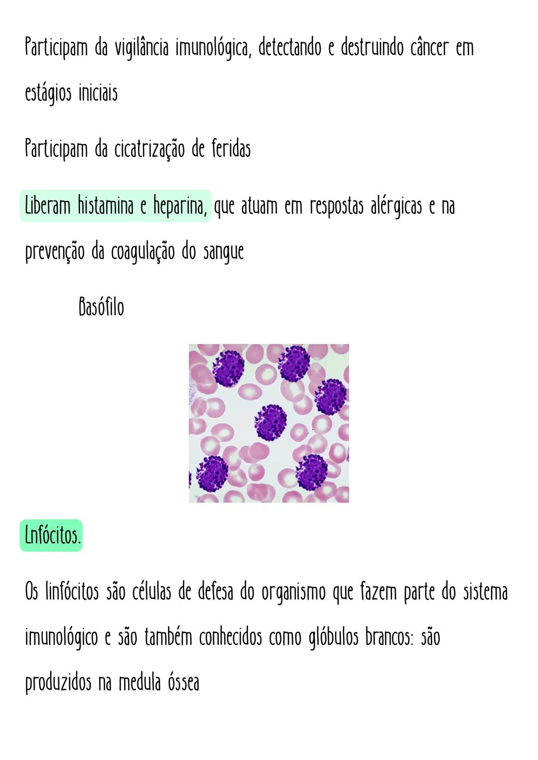 Eleticiana Lima
# Hematológica.
# Tipagem sanguínea
Sistema ABO: Define os tipos sanguíneos em A, B, АВ е О.
fator Rh: Define se o sangue