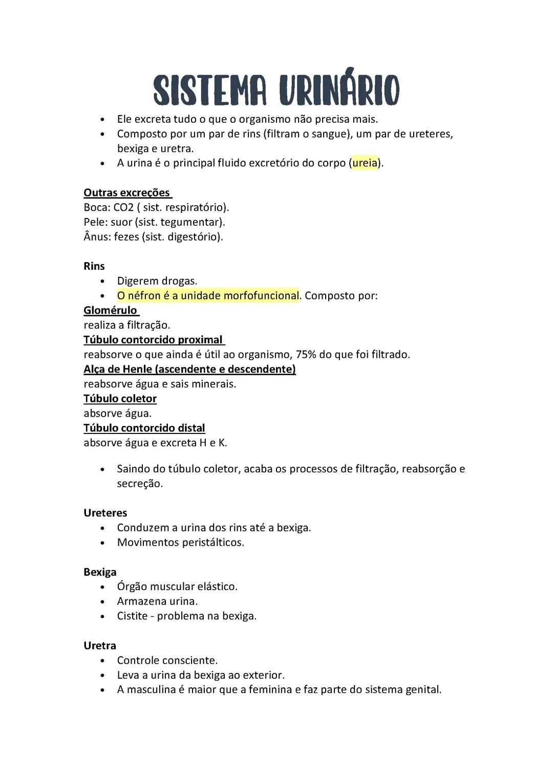 Resumo - Sistema Urinário