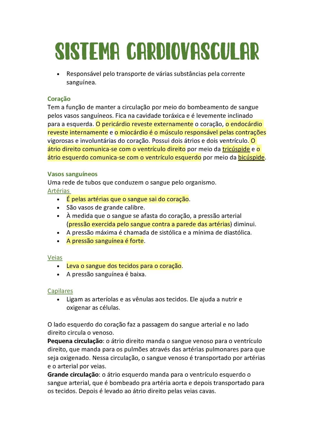 Resumo - Sistema Cardiovascular