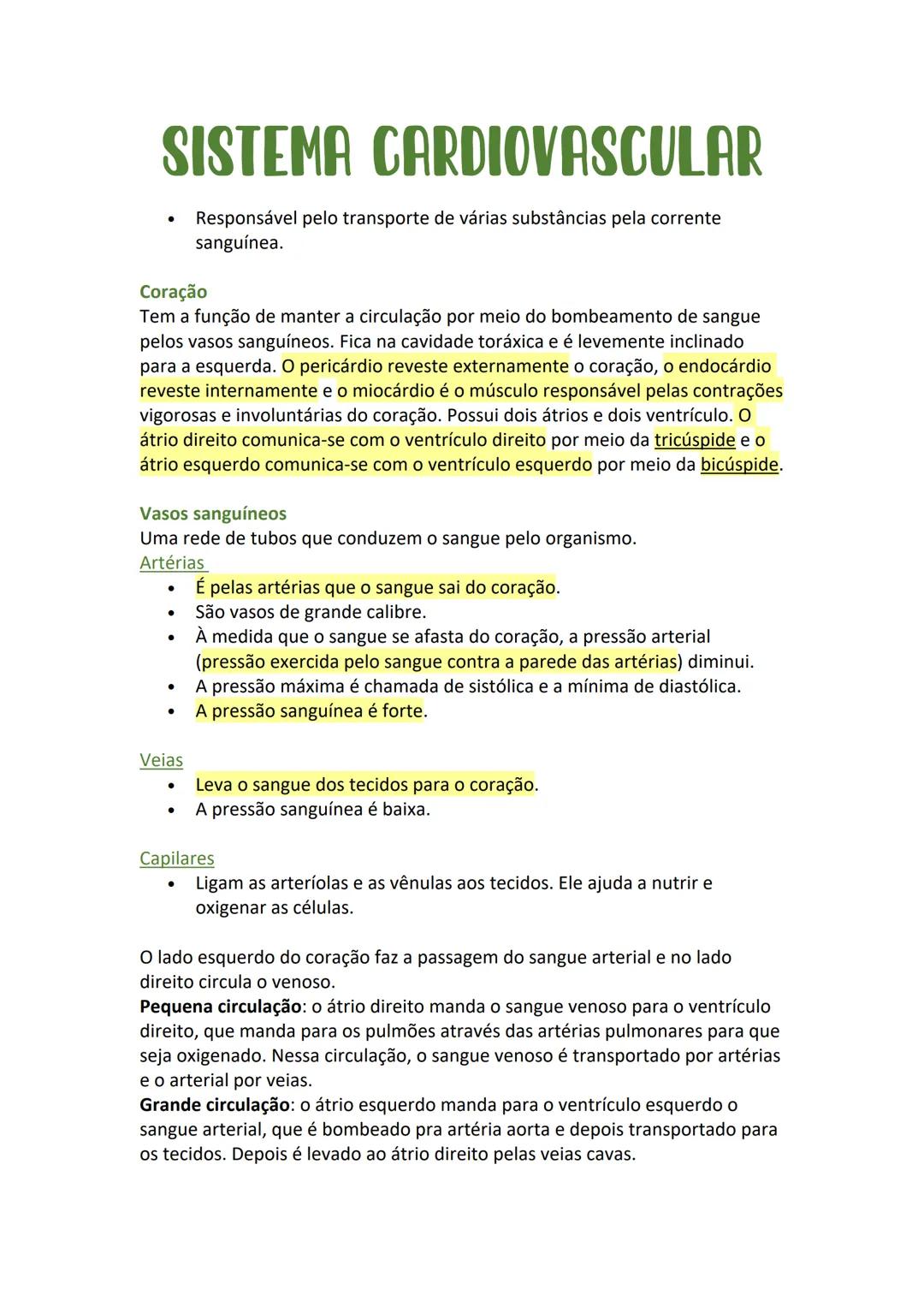 # SISTEMA CARDIOVASCULAR
- Responsável pelo transporte de várias substâncias pela corrente
sanguínea.
**Coração**
Tem a função de manter