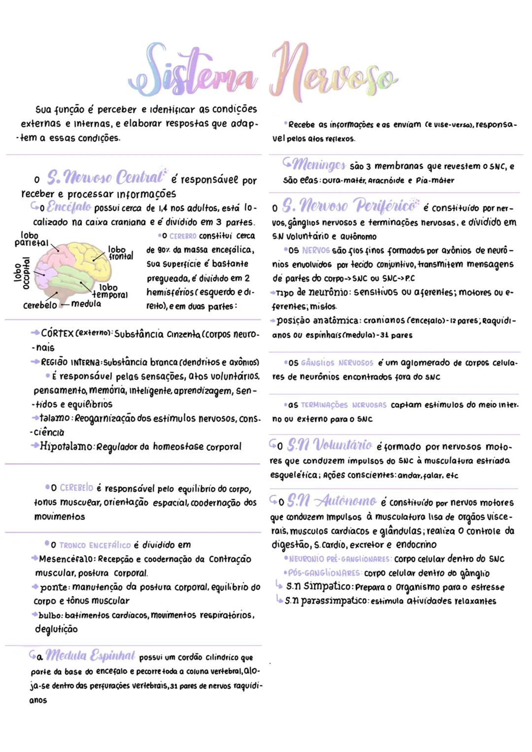 # Sistema Nervoso
Sua função é perceber e identificar as condições
externas e internas, e elaborar respostas que adap-
-tem a essas condiçõ