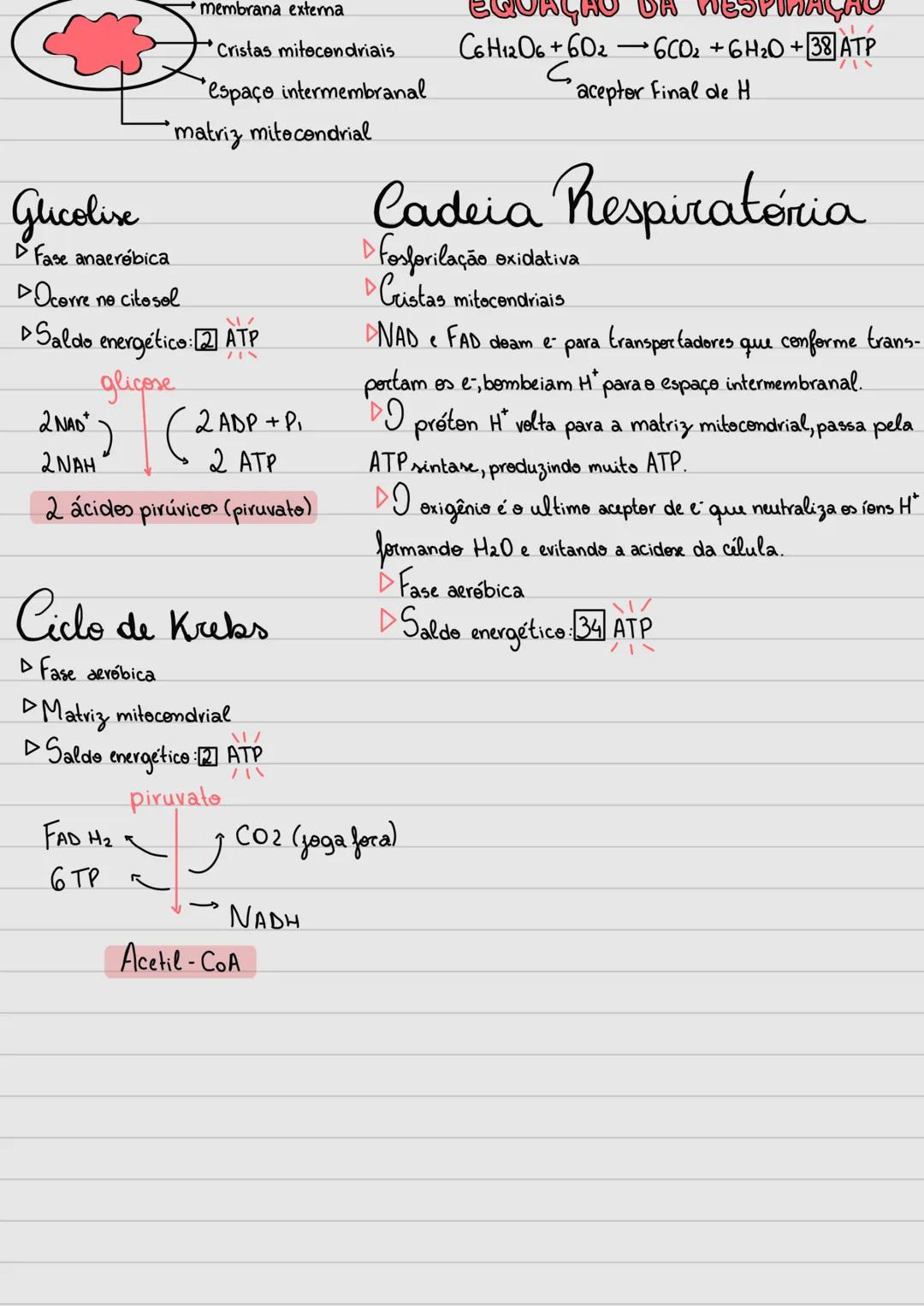 --- OCR Start ---
Citologia
Estudo da Célula!
Tipos de células:
Precariontes: Componentes SOLTOS no citoplasma, sem a presença da mem -
bran