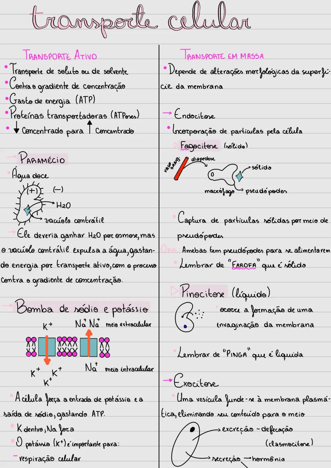 --- OCR Start ---
Citologia
Estudo da Célula!
Tipos de células:
Precariontes: Componentes SOLTOS no citoplasma, sem a presença da mem -
bran