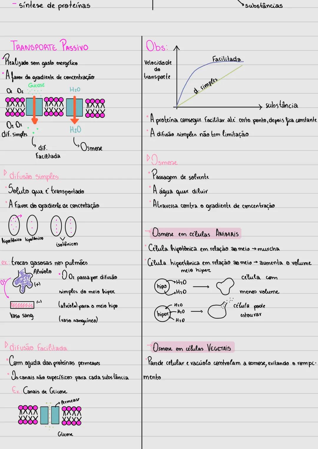 --- OCR Start ---
Citologia
Estudo da Célula!
Tipos de células:
Precariontes: Componentes SOLTOS no citoplasma, sem a presença da mem -
bran
