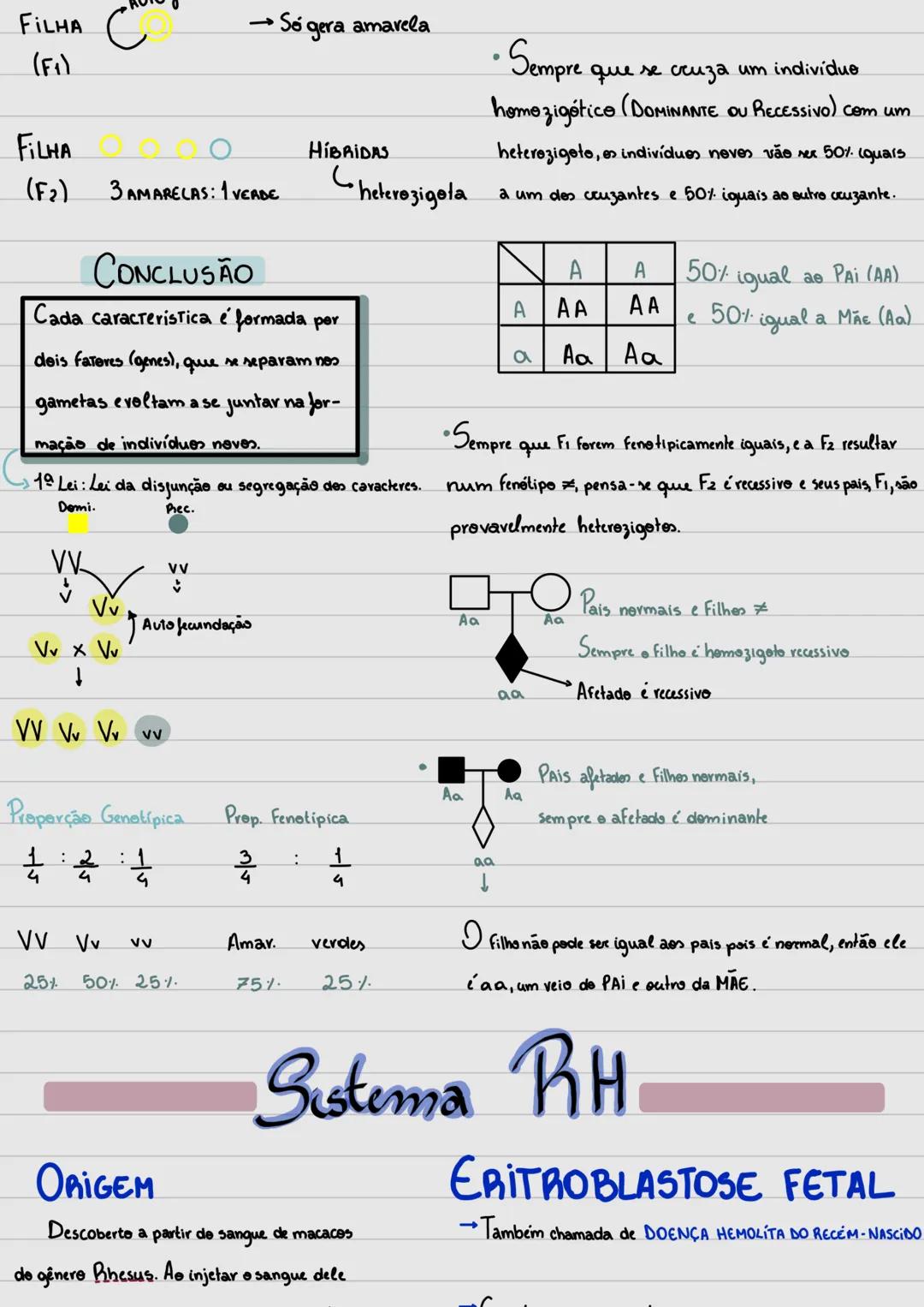 # Genética
CONCEITOS BÁSICOS
• GENES (DNA-Proteina)
São partes do DNA. Cada cromossomo
abriga inúmeros Genes. Existem:
Estruturais e reg