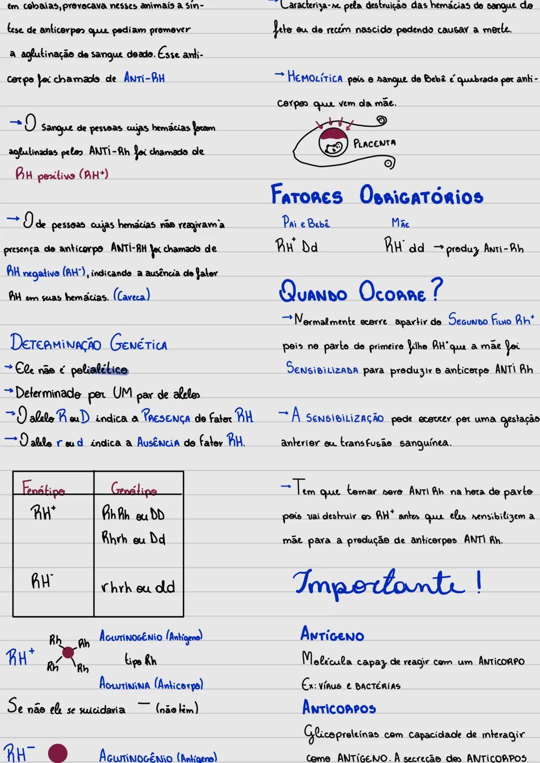# Genética
CONCEITOS BÁSICOS
• GENES (DNA-Proteina)
São partes do DNA. Cada cromossomo
abriga inúmeros Genes. Existem:
Estruturais e reg