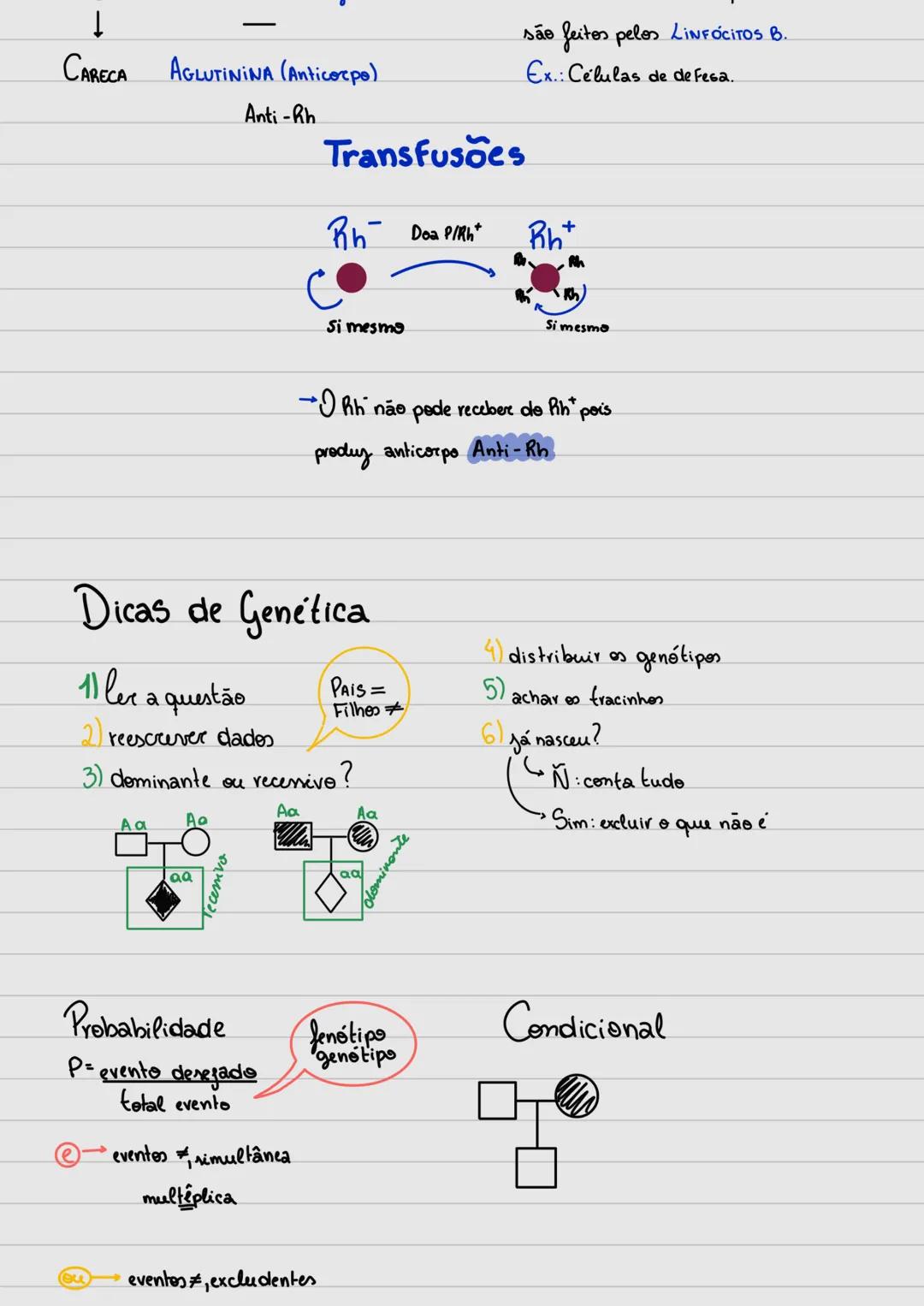# Genética
CONCEITOS BÁSICOS
• GENES (DNA-Proteina)
São partes do DNA. Cada cromossomo
abriga inúmeros Genes. Existem:
Estruturais e reg