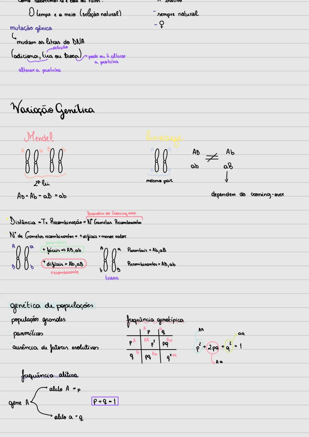 # Genética
CONCEITOS BÁSICOS
• GENES (DNA-Proteina)
São partes do DNA. Cada cromossomo
abriga inúmeros Genes. Existem:
Estruturais e reg