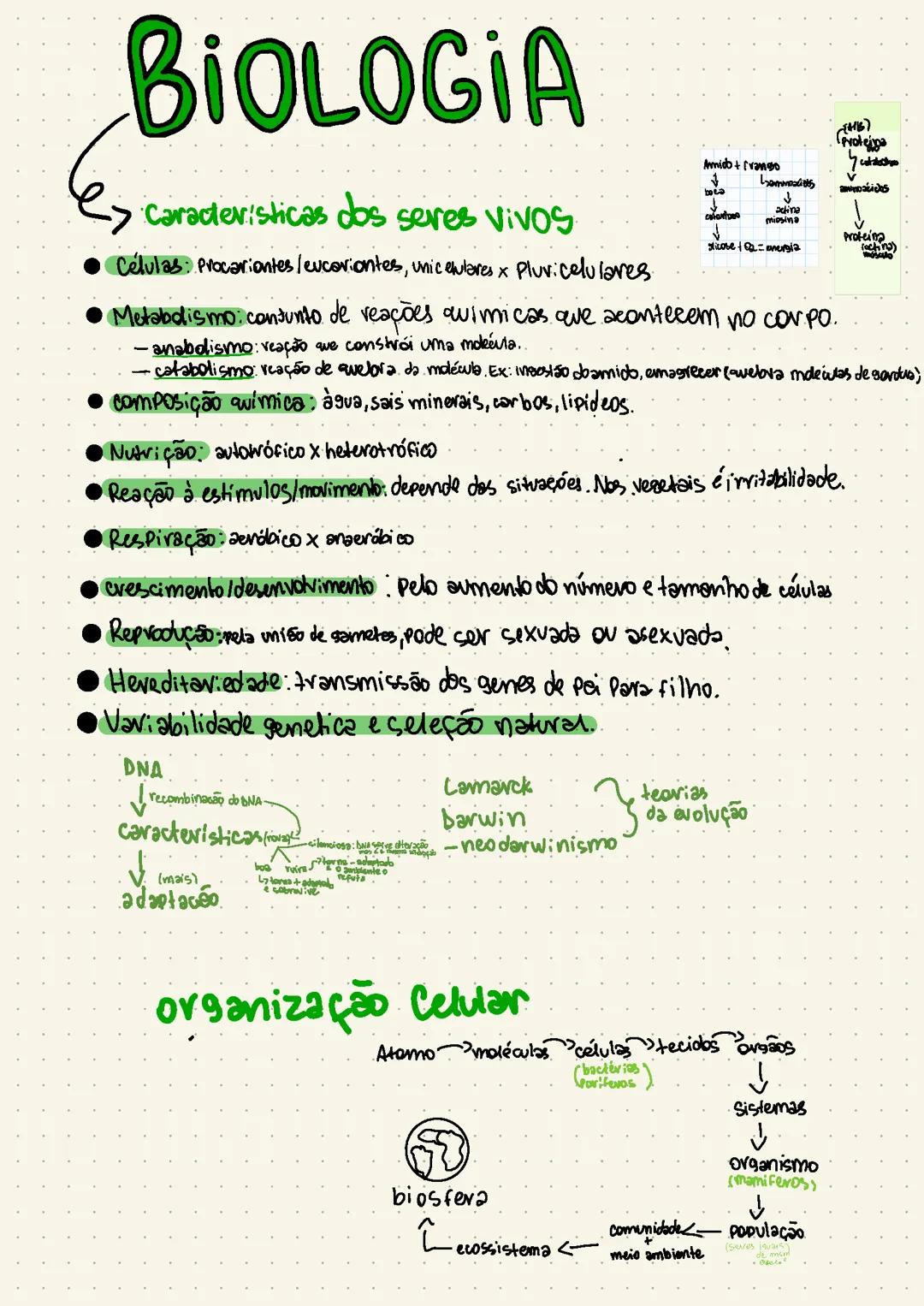 Conceitos fundamentais da Biologia para ENEM