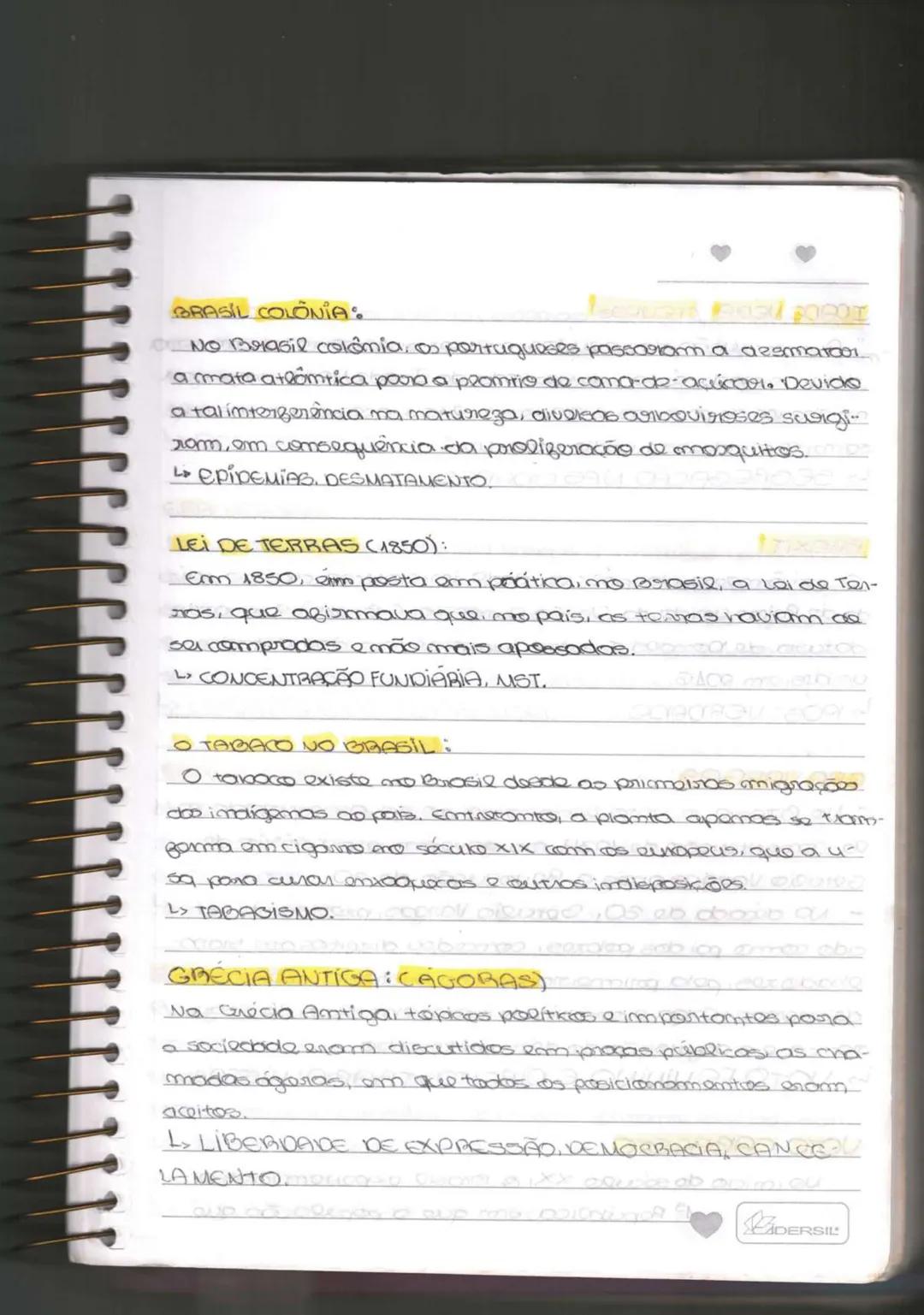 Caderno de repertorio
ip: redação do ENEMI
Yasmin Lemos
Acadêmica de
Direito na UFRN PROIBIDA A DISTRIBUIÇÃO
DESSE ARQUIVO SEM PRÉVIA AUTORI