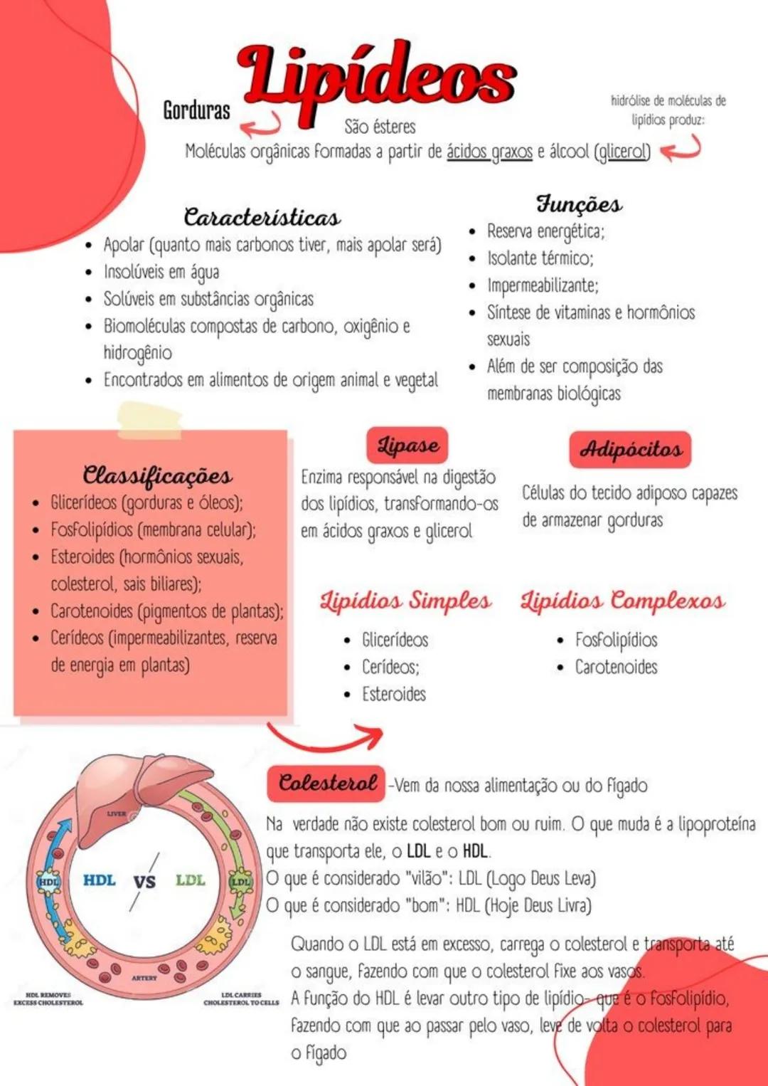 --- OCR Start ---
Gorduras
Lipídeos
São ésteres
hidrólise de moléculas de
lipídios produz:
Moléculas orgânicas formadas a partir de ácidos g