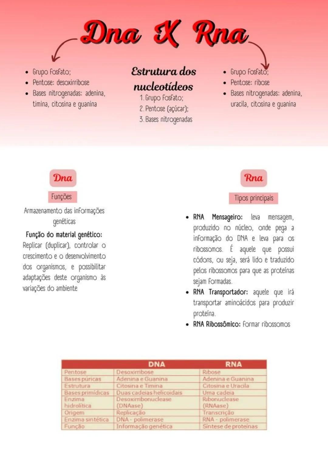 --- OCR Start ---
Dna X Rna
Grupo Fosfato;
• Pentose: desoxirribose
• Bases nitrogenadas: adenina,
timina, citosina e guanina
Estrutura dos
