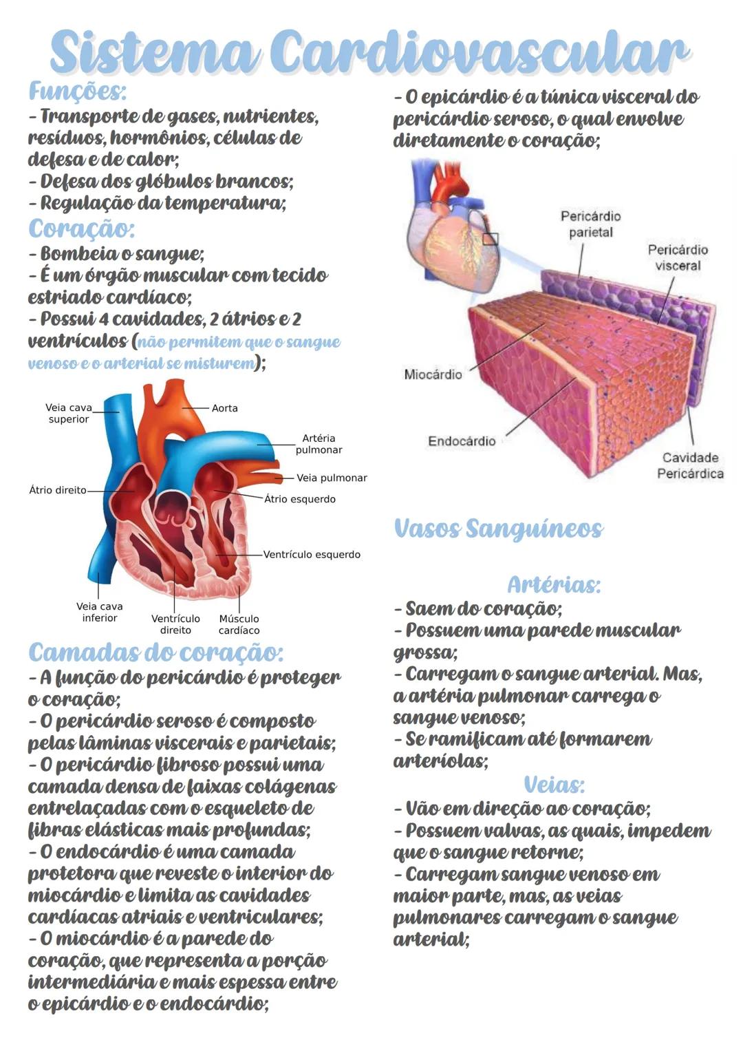 # Sistema Cardiovascular
Funções:
-Transporte de gases, nutrientes,
residuos, hormônios, células de
defesa e de calor,
- Defesa dos glóbulo