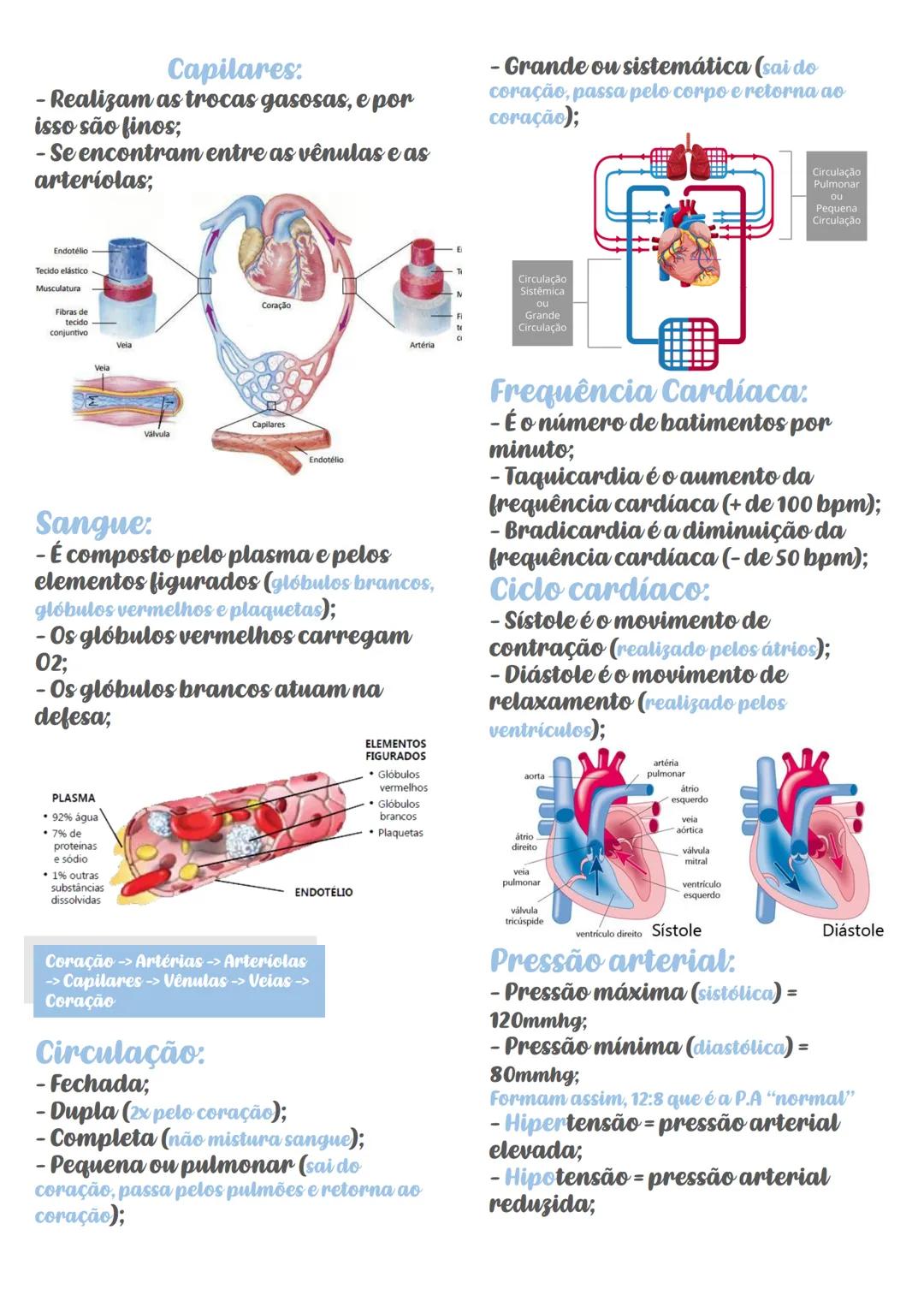# Sistema Cardiovascular
Funções:
-Transporte de gases, nutrientes,
residuos, hormônios, células de
defesa e de calor,
- Defesa dos glóbulo