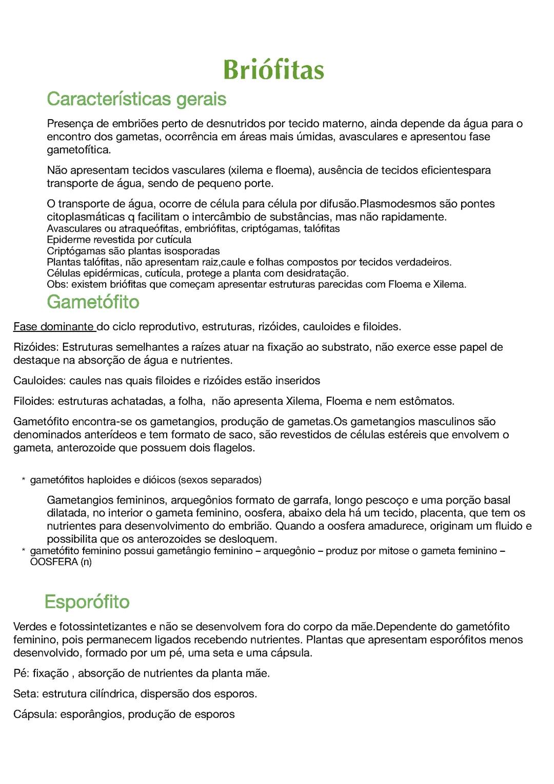 Biologia : briófita e pteridófita. Reino plantae