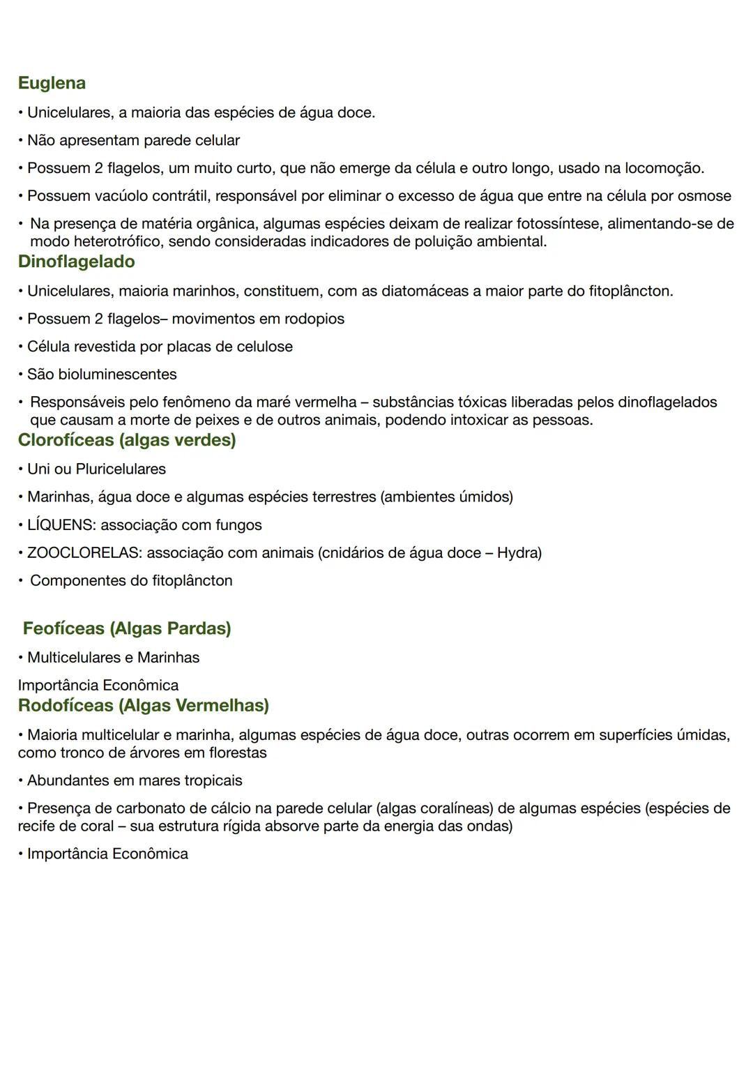 --- OCR Start ---
Reino Protoctista
Algas
• Uni ou pluricelulares
• Autótrofasfotossintetizantes
• Aquáticas:marinhas e dulcícolas (fitoplân