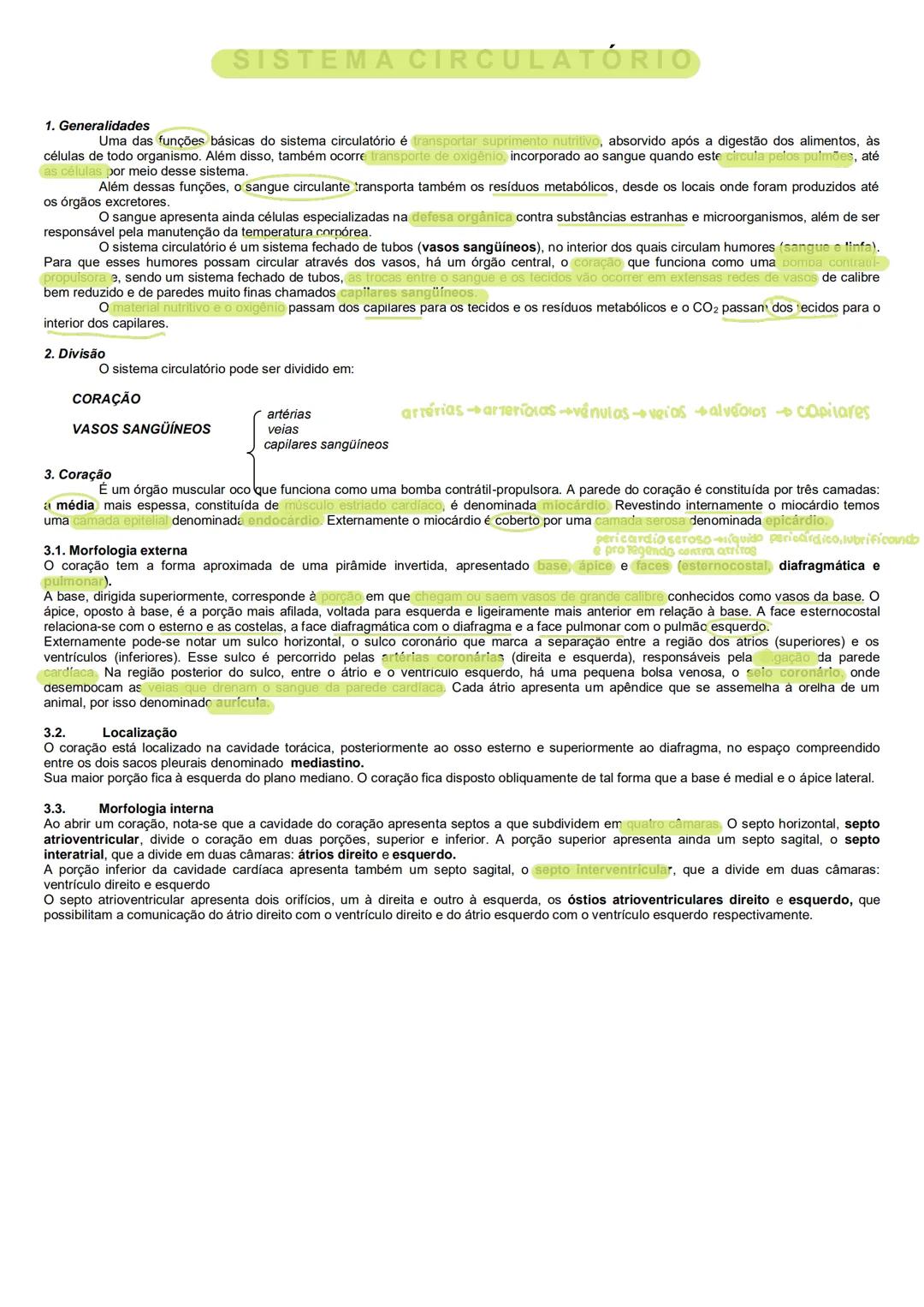 sistema circulatório