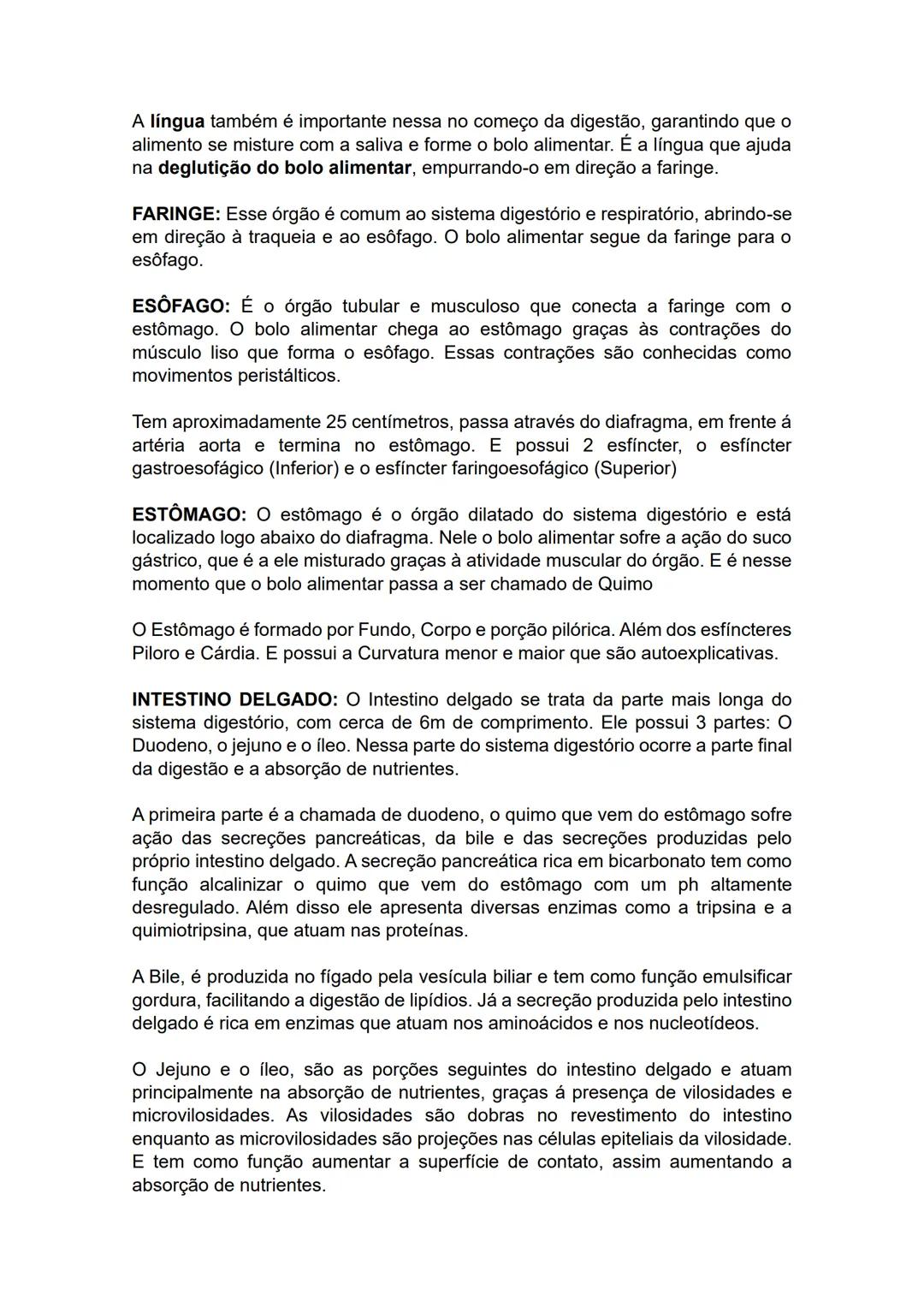 # SISTEMA DIGESTÓRIO –
O sistema digestório é o sistema do corpo humano responsável por garantir o
processamento do alimento que ingerimos,