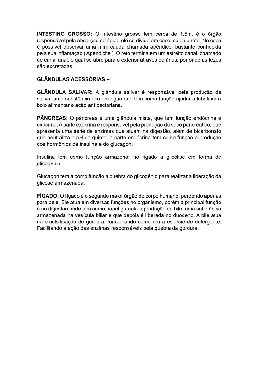 # SISTEMA DIGESTÓRIO –
O sistema digestório é o sistema do corpo humano responsável por garantir o
processamento do alimento que ingerimos,