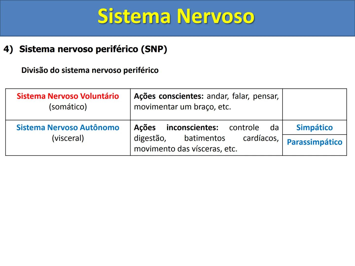# Sistema Nervoso # Sistema Nervoso
1) Introdução
O sistema nervoso é responsável pelo ajustamento do organismo ao ambiente. Sua
função é