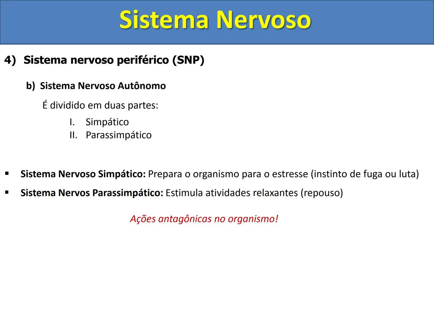 # Sistema Nervoso # Sistema Nervoso
1) Introdução
O sistema nervoso é responsável pelo ajustamento do organismo ao ambiente. Sua
função é