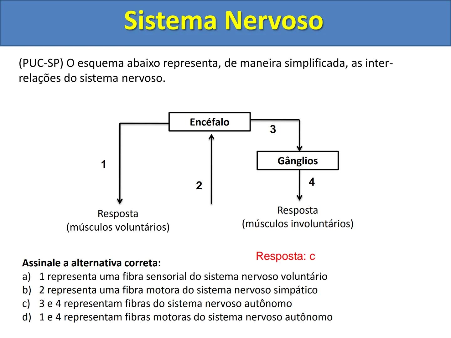 # Sistema Nervoso # Sistema Nervoso
1) Introdução
O sistema nervoso é responsável pelo ajustamento do organismo ao ambiente. Sua
função é