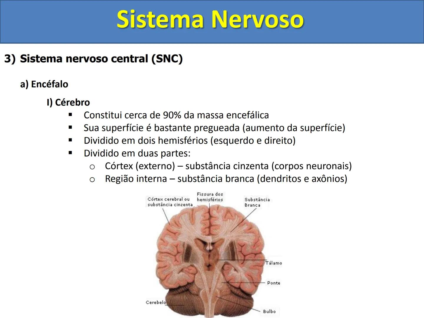 # Sistema Nervoso # Sistema Nervoso
1) Introdução
O sistema nervoso é responsável pelo ajustamento do organismo ao ambiente. Sua
função é
