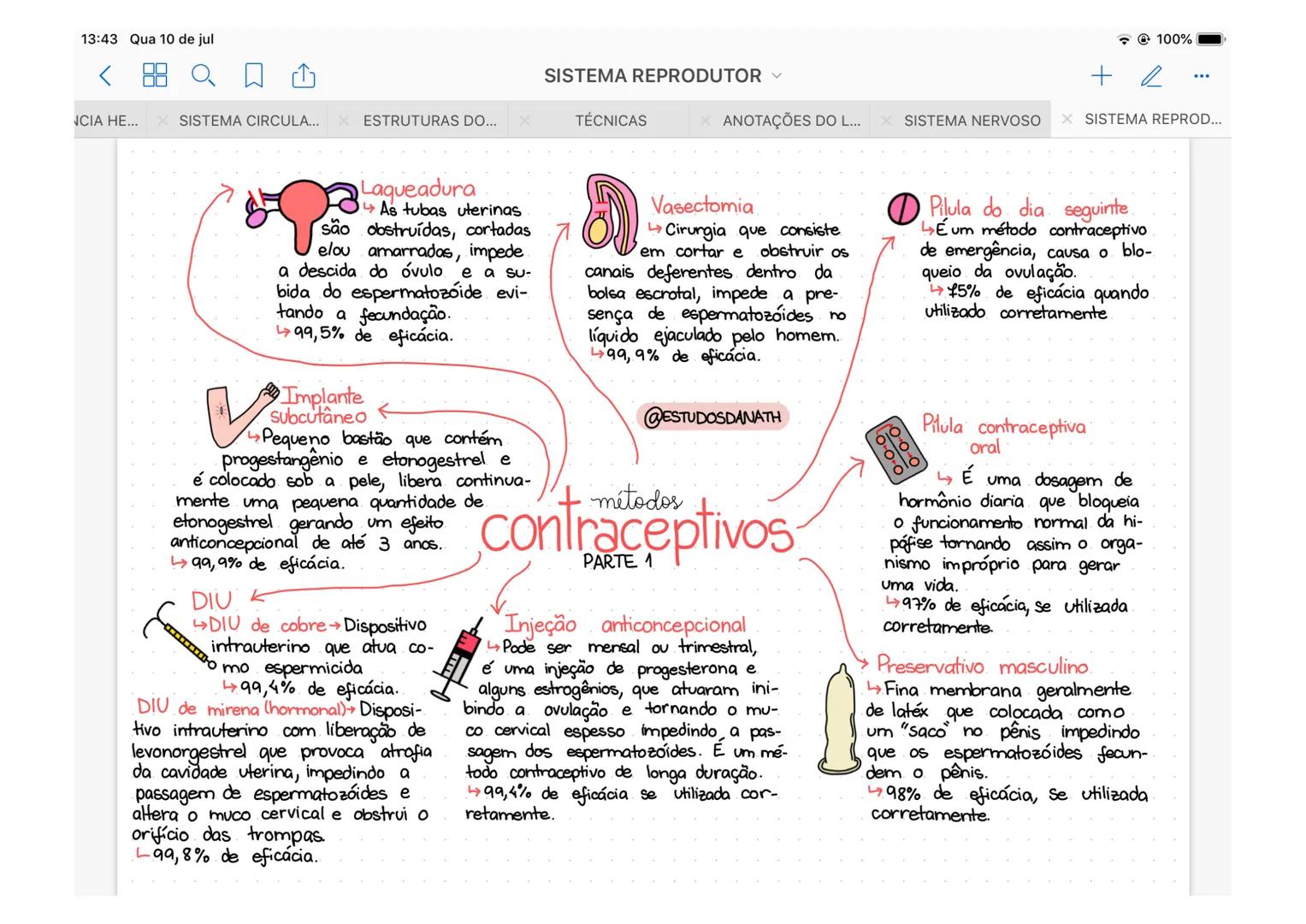13:43 Qua 10 de jul
<
NCIA HE... SISTEMA CIRCULA... ESTRUTURAS DO...
100%
SISTEMA REPRODUTOR
X
TÉCNICAS
✓ ANOTAÇÕES DO L... SISTEMA NERVOSO