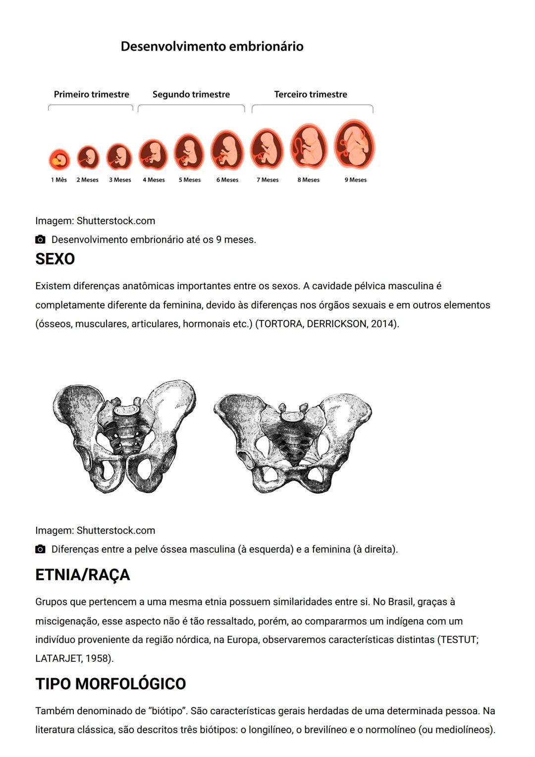GENERALIDADES E SISTEMA
OSTEOMIOARTICULAR
DESCRIÇÃO
Elementos introdutórios para o estudo de anatomia humana e generalidades sobre os sist