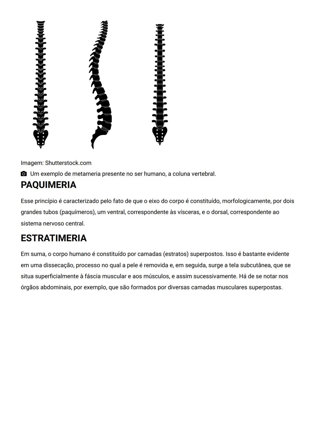 GENERALIDADES E SISTEMA
OSTEOMIOARTICULAR
DESCRIÇÃO
Elementos introdutórios para o estudo de anatomia humana e generalidades sobre os sist
