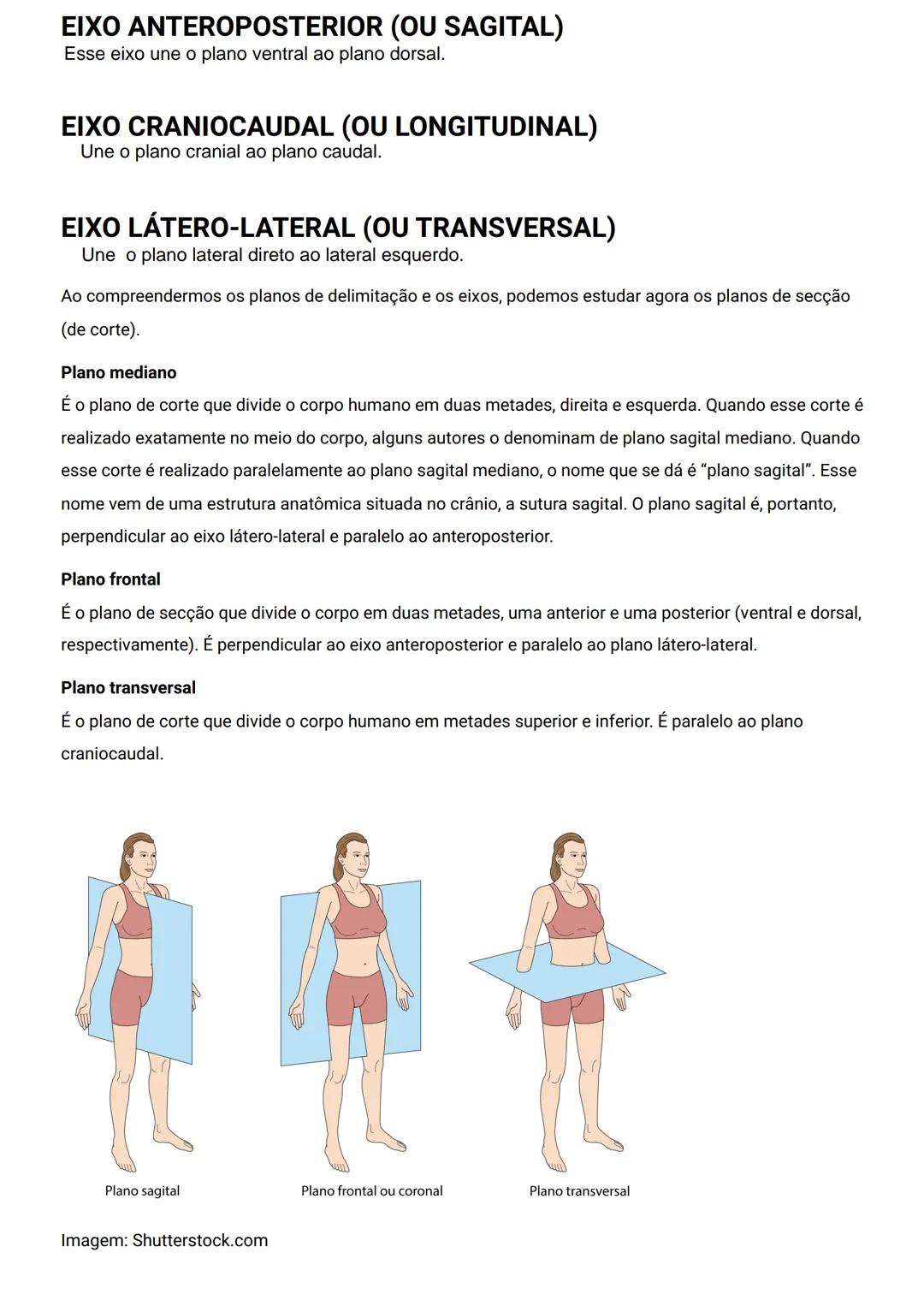 GENERALIDADES E SISTEMA
OSTEOMIOARTICULAR
DESCRIÇÃO
Elementos introdutórios para o estudo de anatomia humana e generalidades sobre os sist