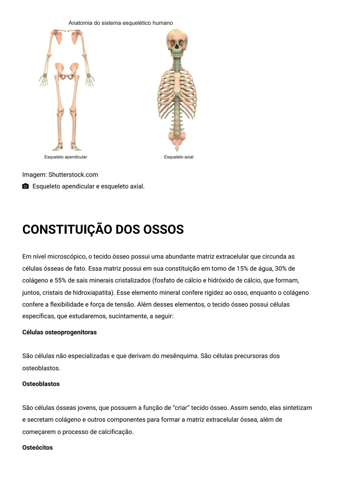 GENERALIDADES E SISTEMA
OSTEOMIOARTICULAR
DESCRIÇÃO
Elementos introdutórios para o estudo de anatomia humana e generalidades sobre os sist