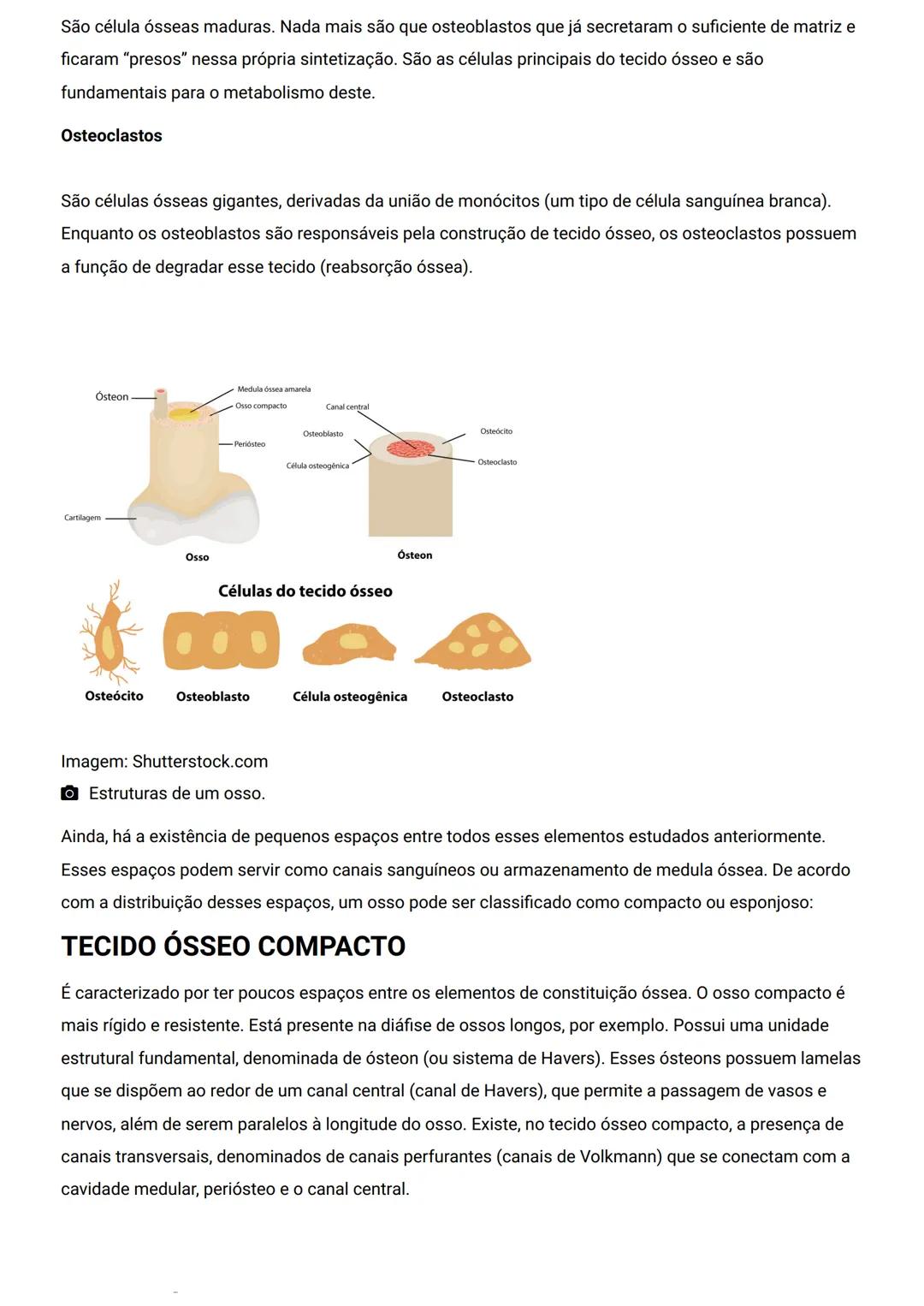 GENERALIDADES E SISTEMA
OSTEOMIOARTICULAR
DESCRIÇÃO
Elementos introdutórios para o estudo de anatomia humana e generalidades sobre os sist