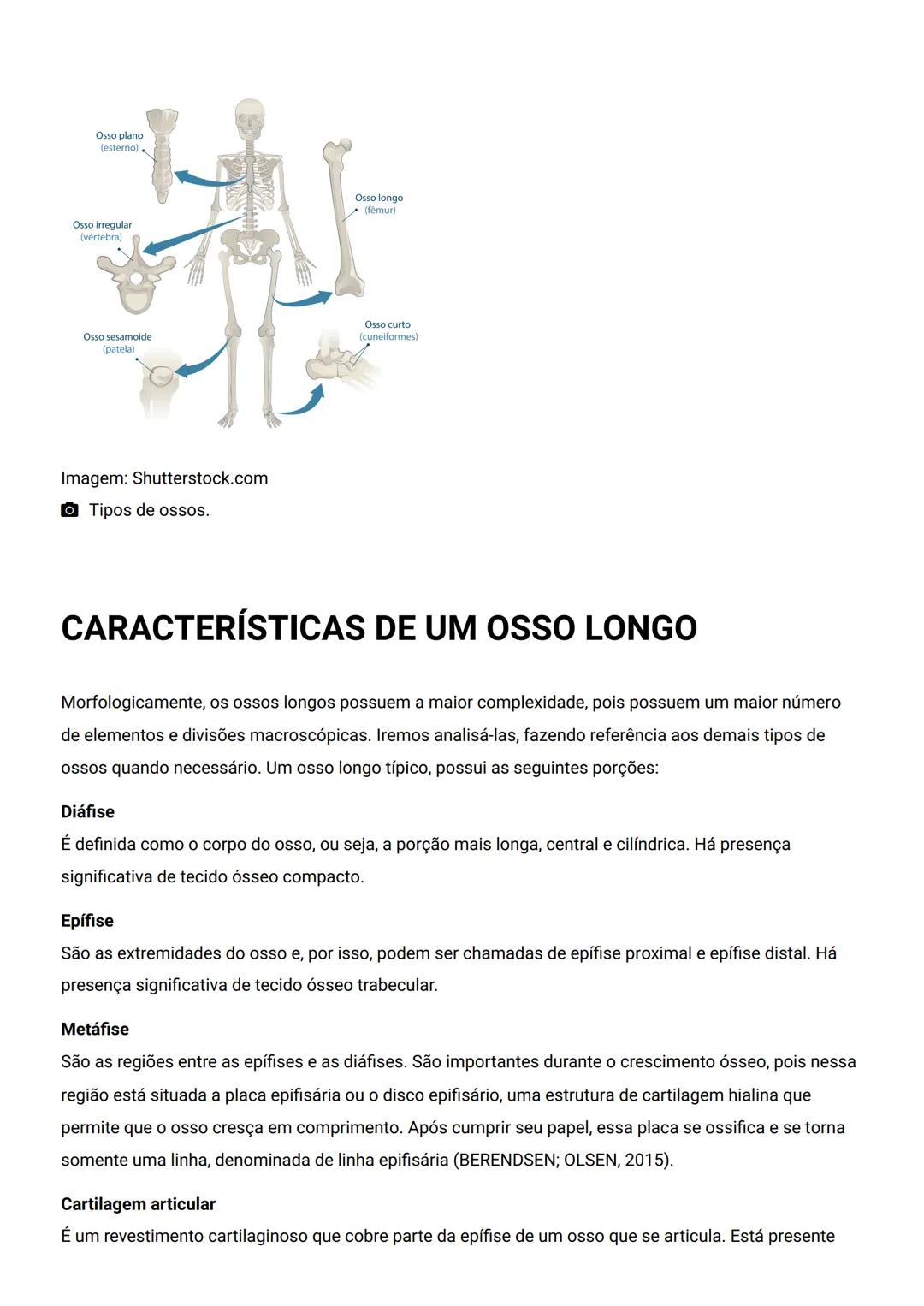 GENERALIDADES E SISTEMA
OSTEOMIOARTICULAR
DESCRIÇÃO
Elementos introdutórios para o estudo de anatomia humana e generalidades sobre os sist