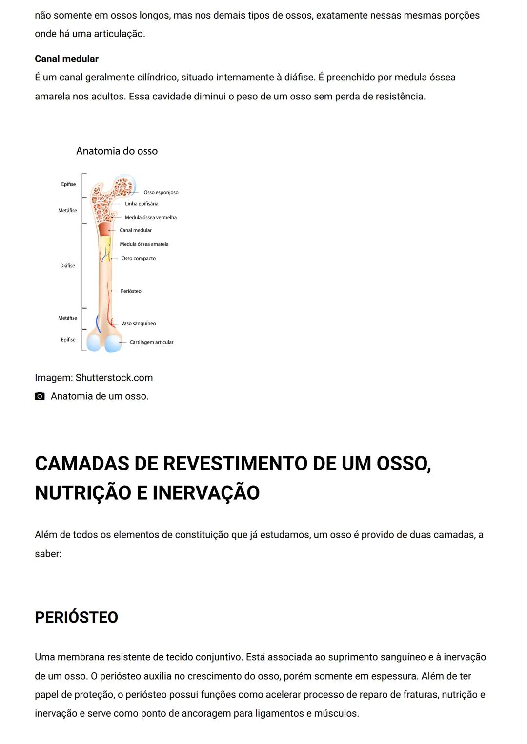 GENERALIDADES E SISTEMA
OSTEOMIOARTICULAR
DESCRIÇÃO
Elementos introdutórios para o estudo de anatomia humana e generalidades sobre os sist