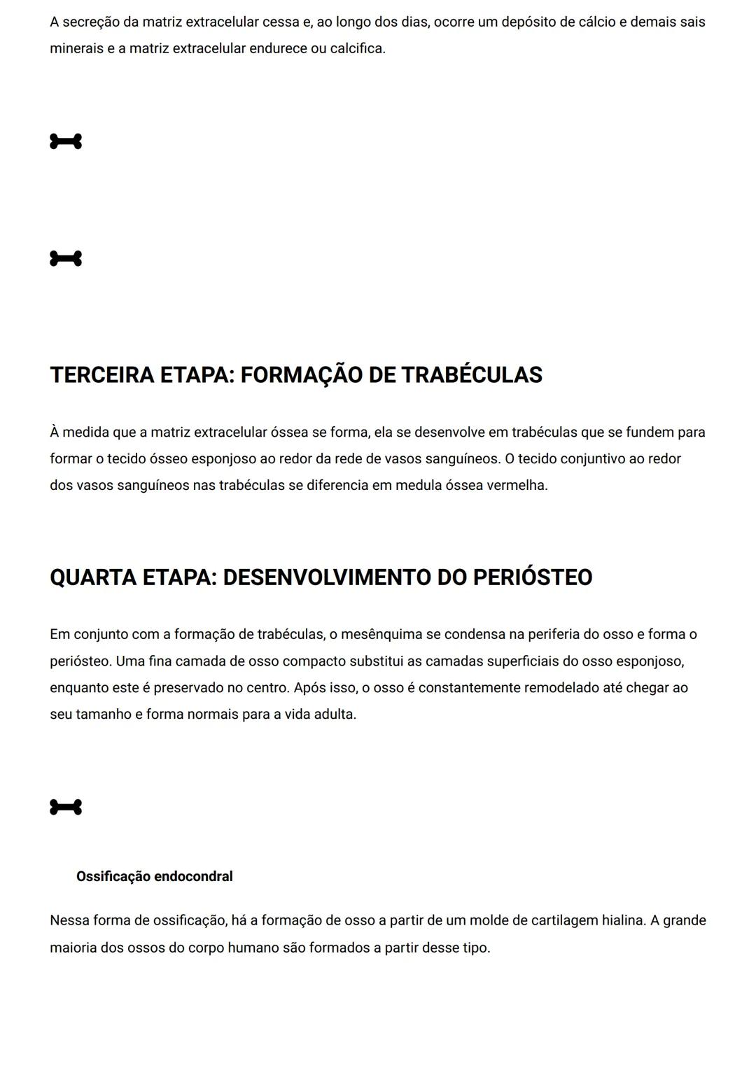 GENERALIDADES E SISTEMA
OSTEOMIOARTICULAR
DESCRIÇÃO
Elementos introdutórios para o estudo de anatomia humana e generalidades sobre os sist