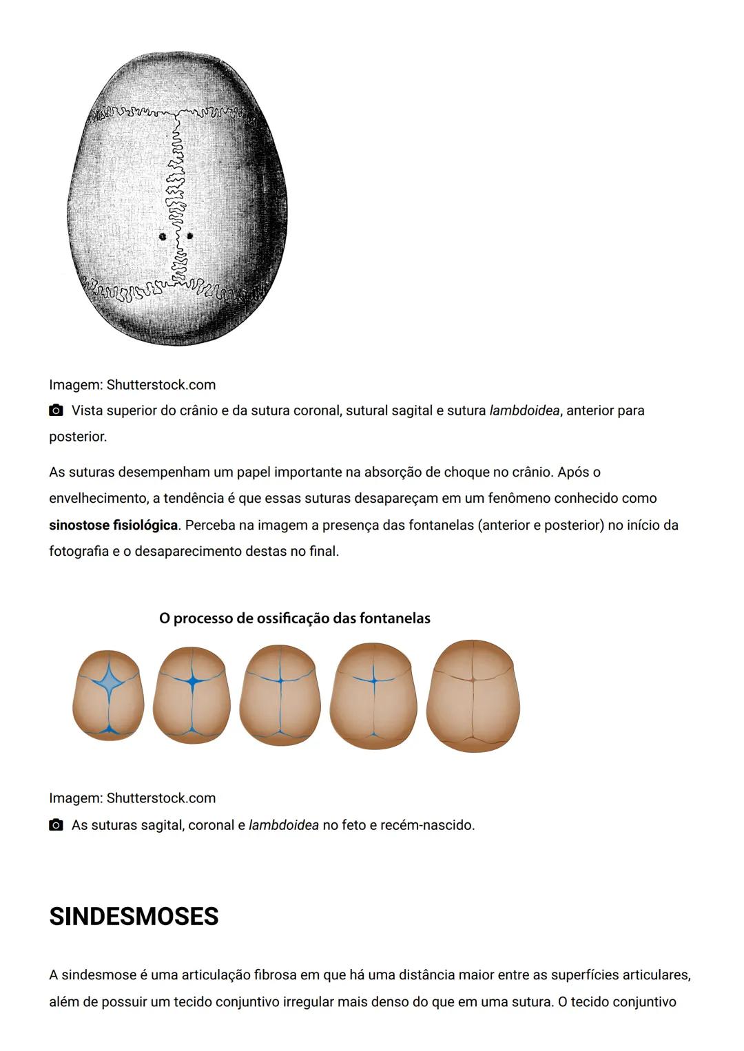 GENERALIDADES E SISTEMA
OSTEOMIOARTICULAR
DESCRIÇÃO
Elementos introdutórios para o estudo de anatomia humana e generalidades sobre os sist