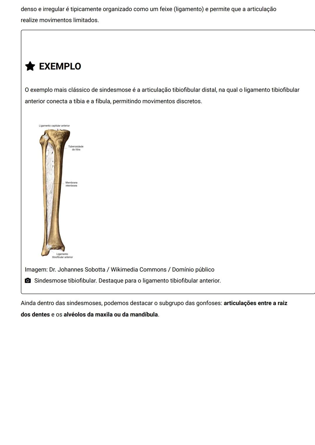 GENERALIDADES E SISTEMA
OSTEOMIOARTICULAR
DESCRIÇÃO
Elementos introdutórios para o estudo de anatomia humana e generalidades sobre os sist