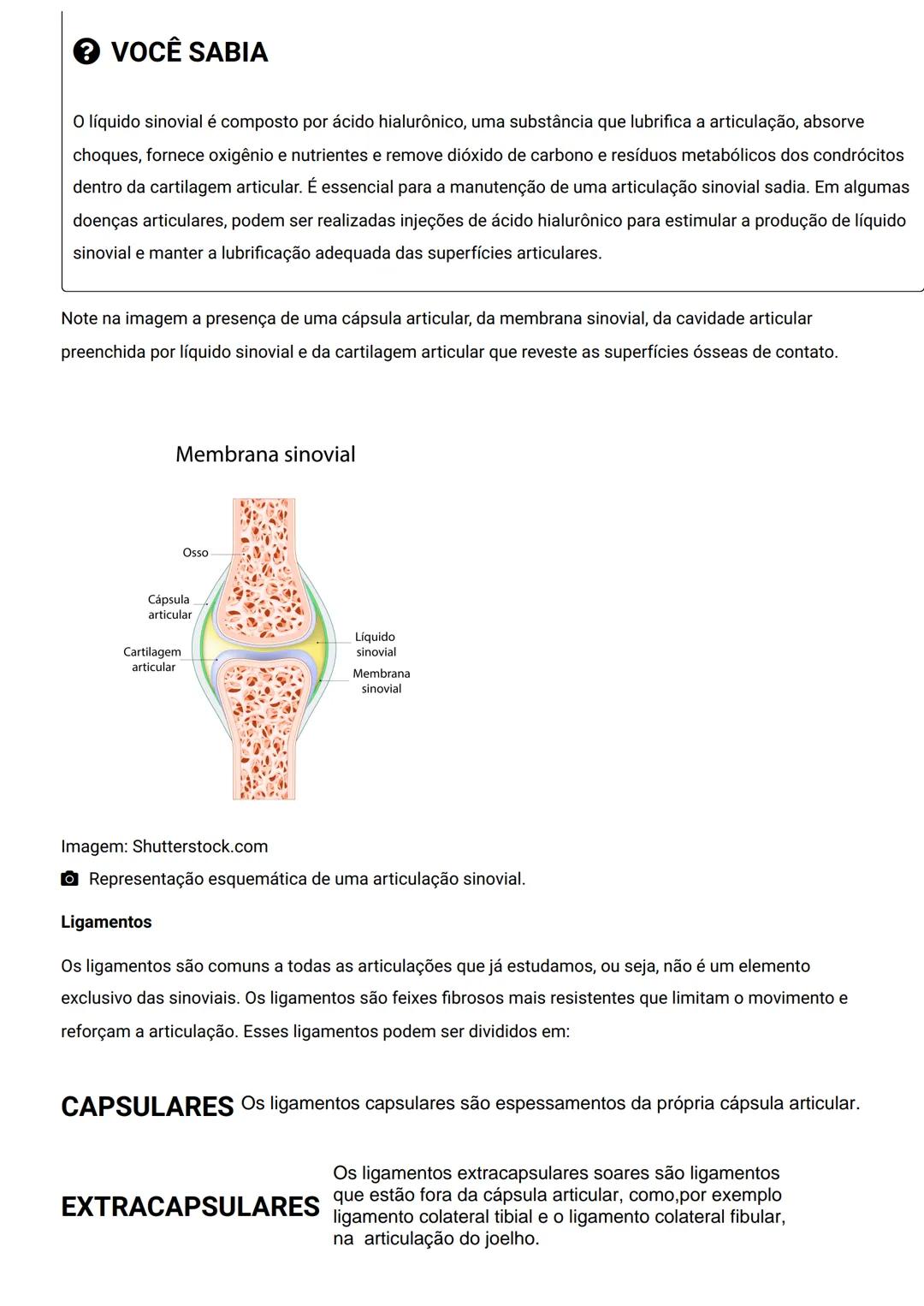 GENERALIDADES E SISTEMA
OSTEOMIOARTICULAR
DESCRIÇÃO
Elementos introdutórios para o estudo de anatomia humana e generalidades sobre os sist