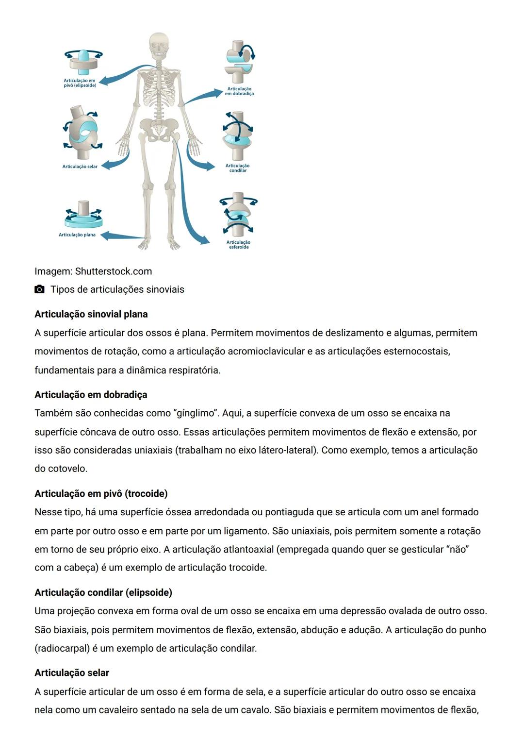 GENERALIDADES E SISTEMA
OSTEOMIOARTICULAR
DESCRIÇÃO
Elementos introdutórios para o estudo de anatomia humana e generalidades sobre os sist