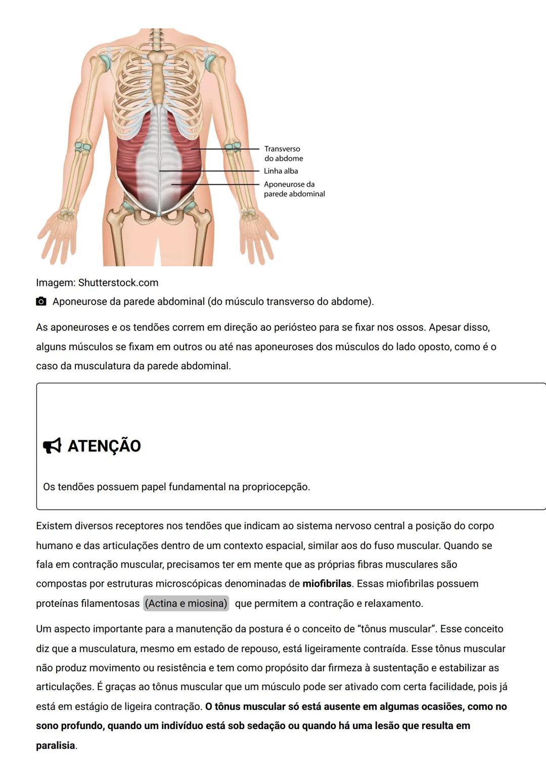 GENERALIDADES E SISTEMA
OSTEOMIOARTICULAR
DESCRIÇÃO
Elementos introdutórios para o estudo de anatomia humana e generalidades sobre os sist