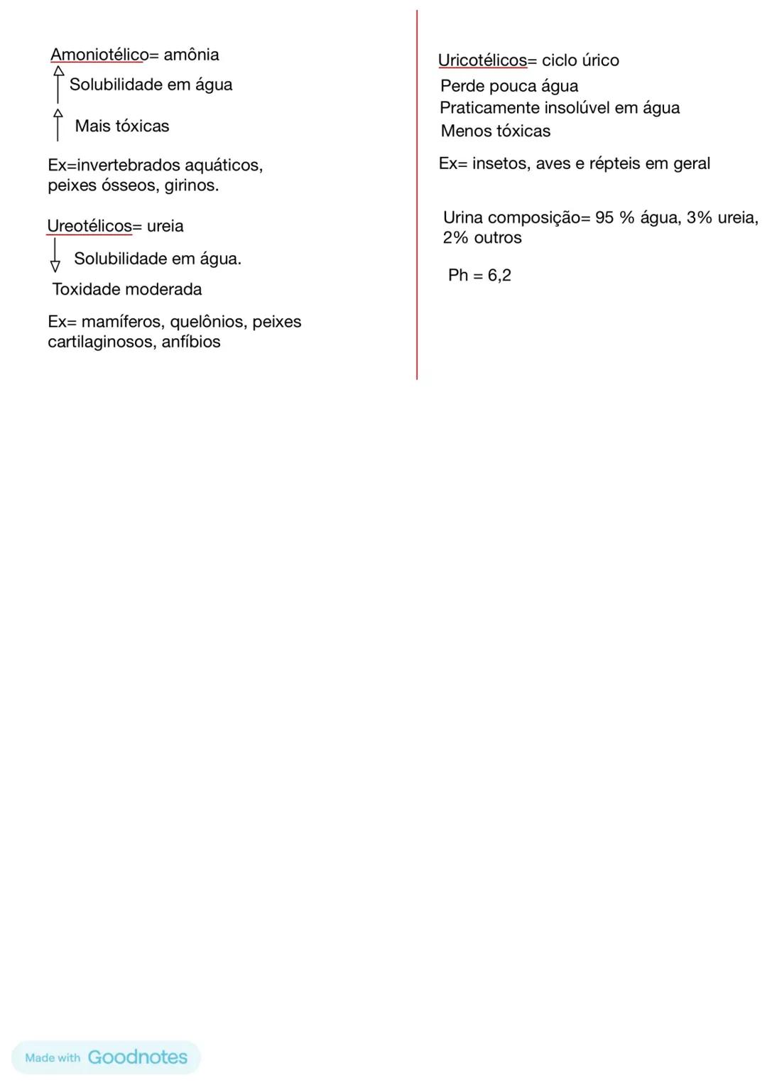 # Sistema excretor
Veia Cava
Veia Renal
Ureter
Rim
Bexiga
Uretra
Função = eliminação e filtração de
substâncias
Etapas= filtração, reabsor